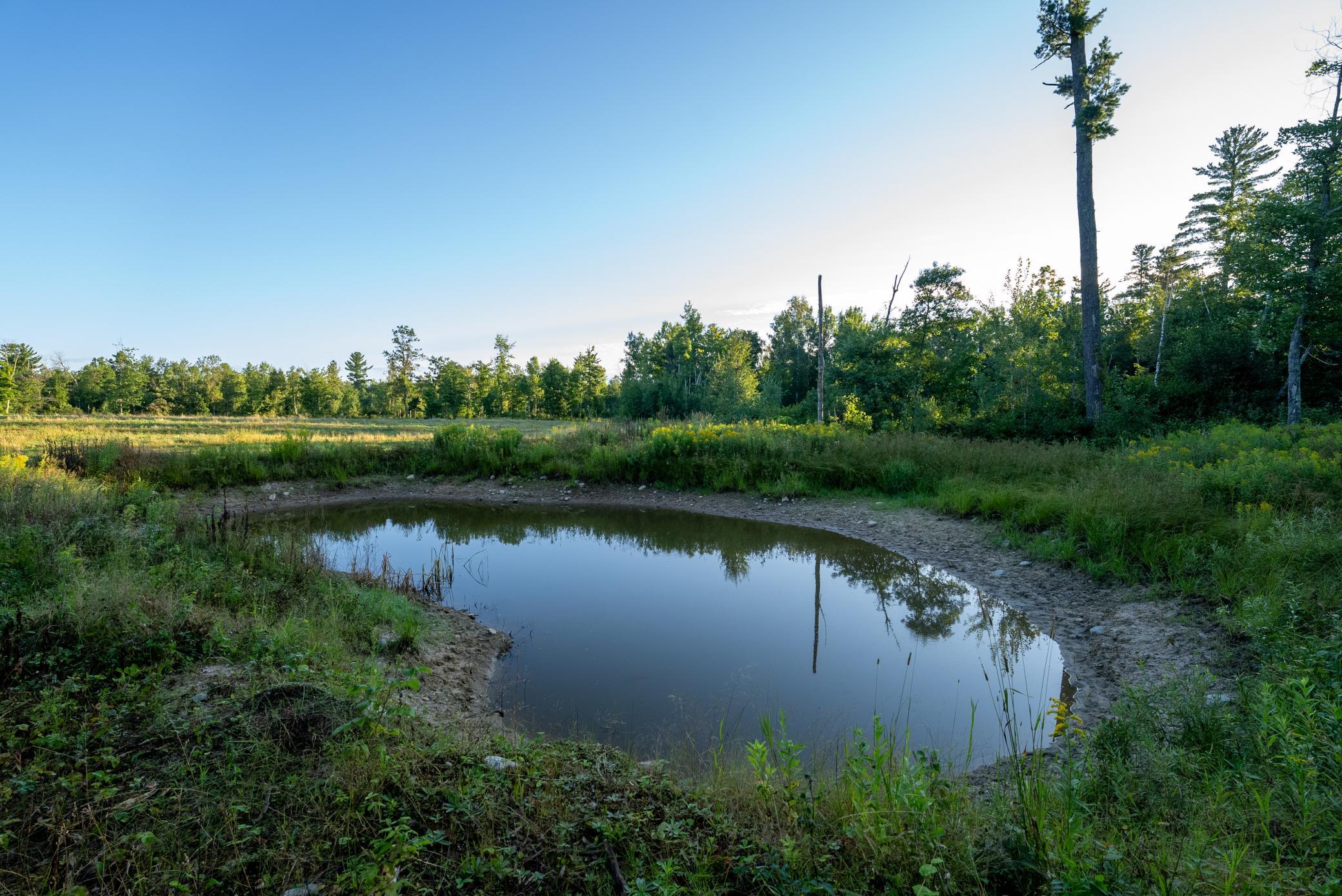 Cass MN 1095 Featured ProPhoto-21.jpg