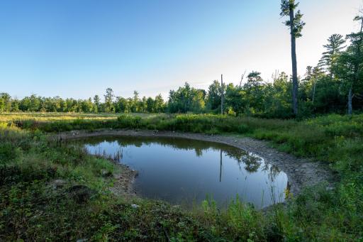 Cass MN 1095 Featured ProPhoto-21.jpg