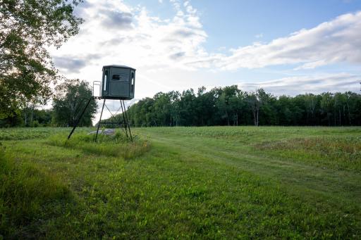 Cass MN 1095 Featured ProPhoto-8.jpg