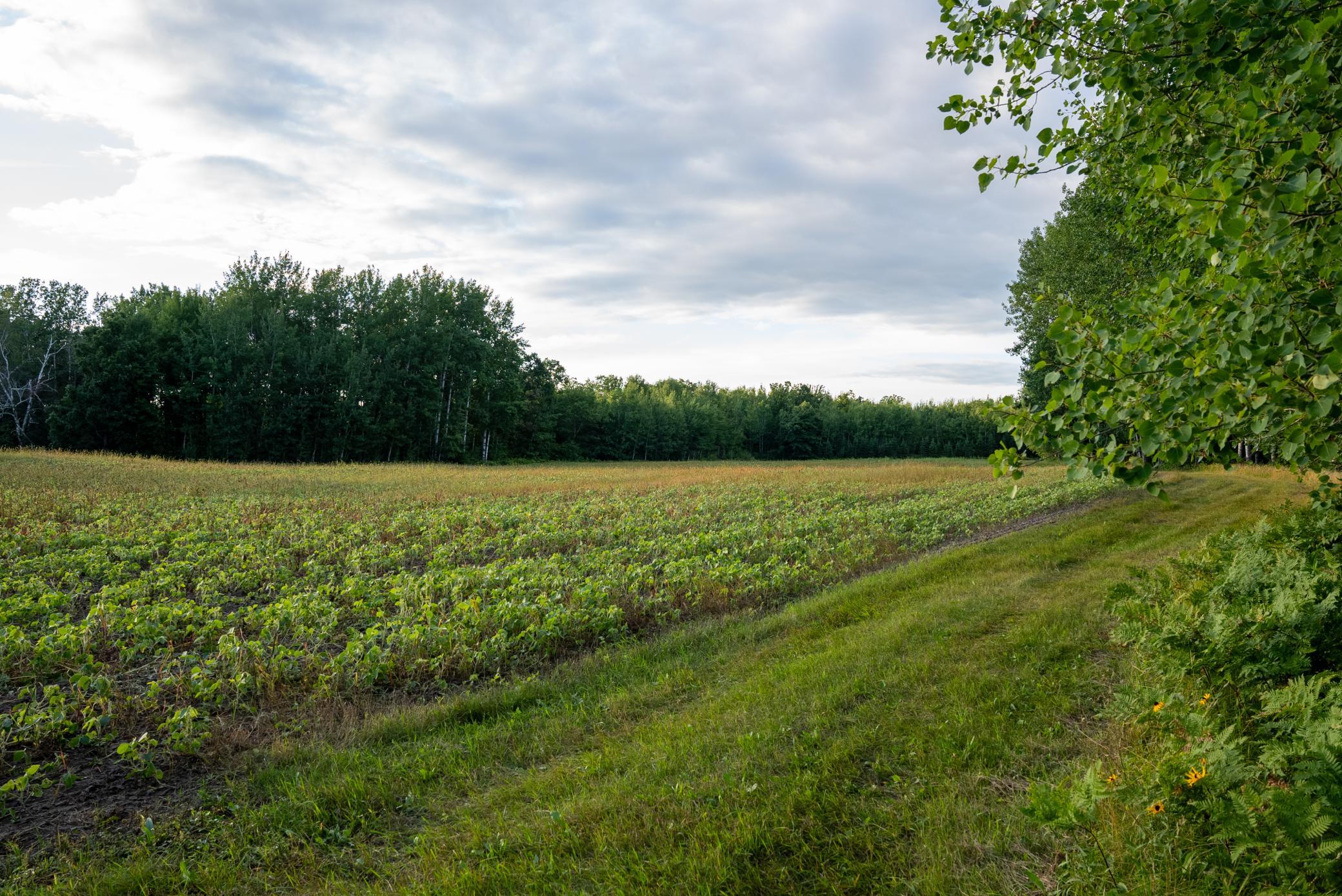 Cass MN 1095 Featured ProPhoto-11.jpg