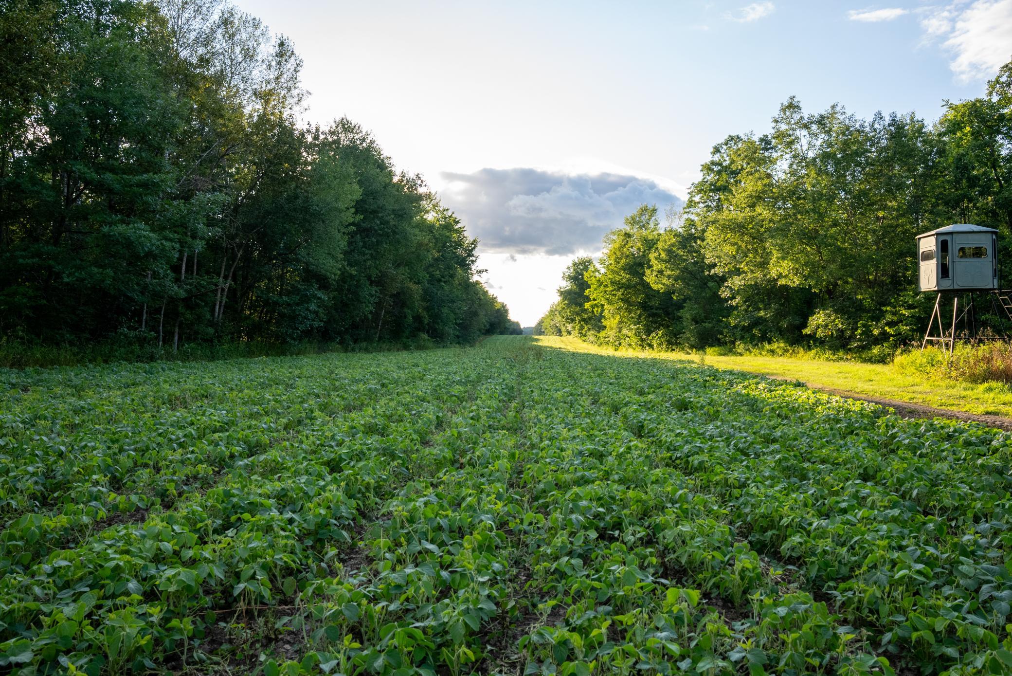 Cass MN 1095 Featured ProPhoto-10.jpg