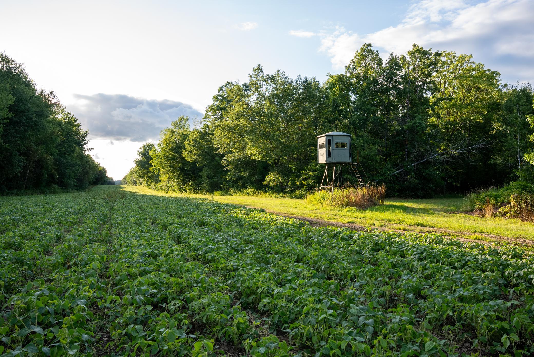 Cass MN 1095 Featured ProPhoto-9.jpg