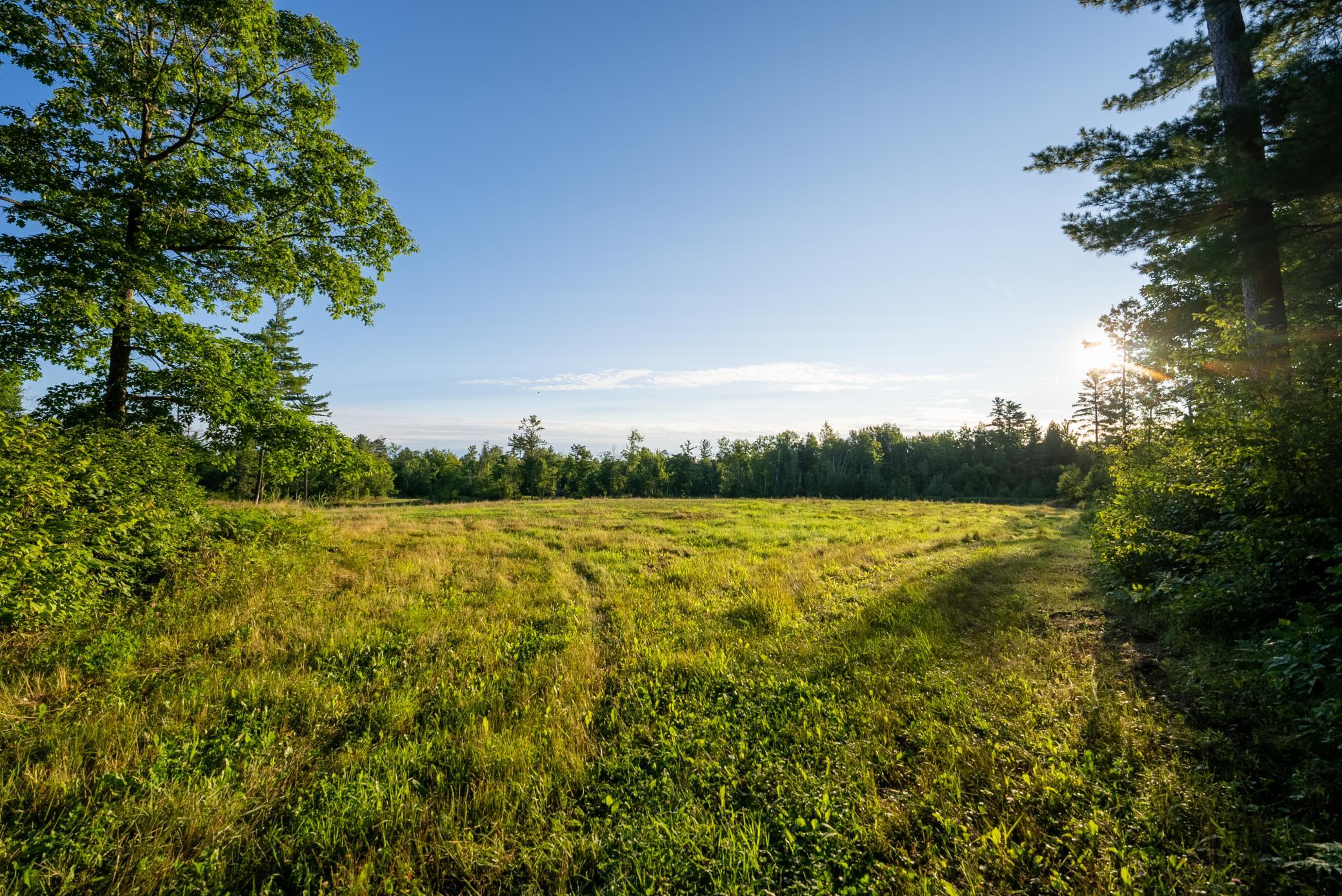 Cass MN 1095 Featured ProPhoto-23.jpg