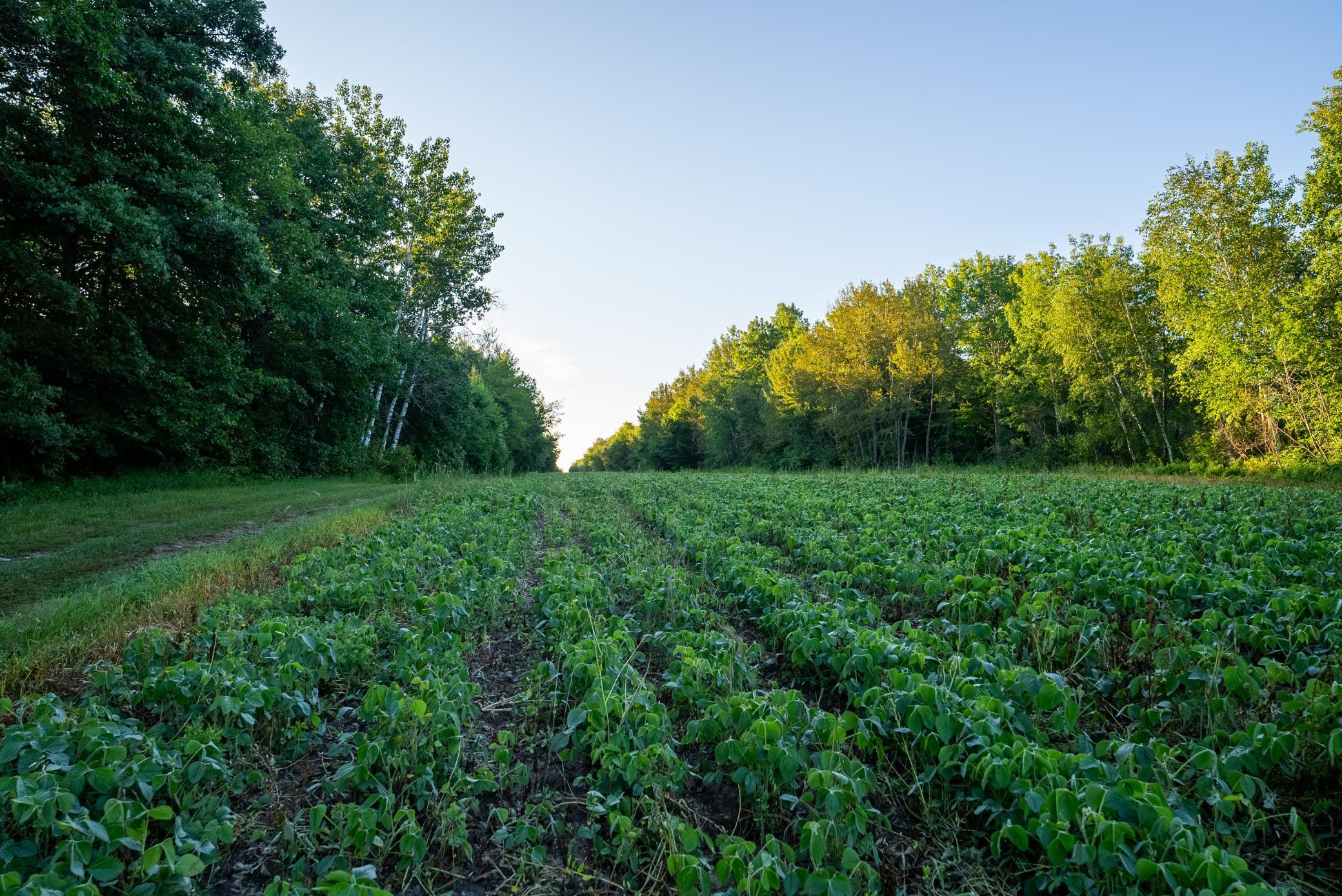 Cass MN 1095 Featured ProPhoto-20.jpg