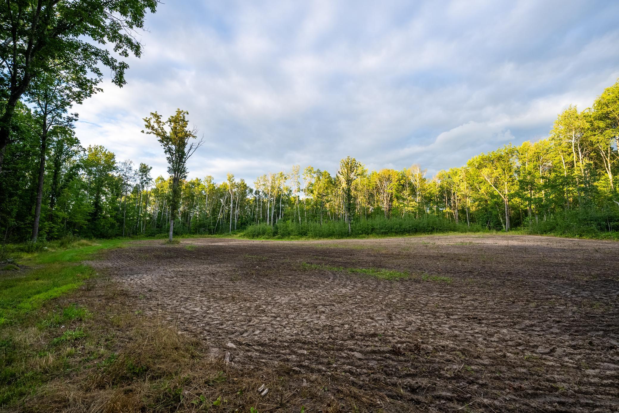 Cass MN 1095 Featured ProPhoto-15.jpg