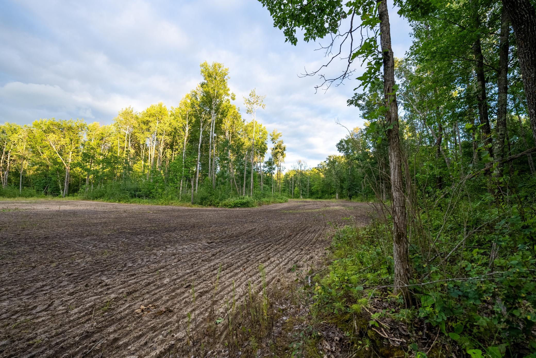 Cass MN 1095 Featured ProPhoto-16.jpg