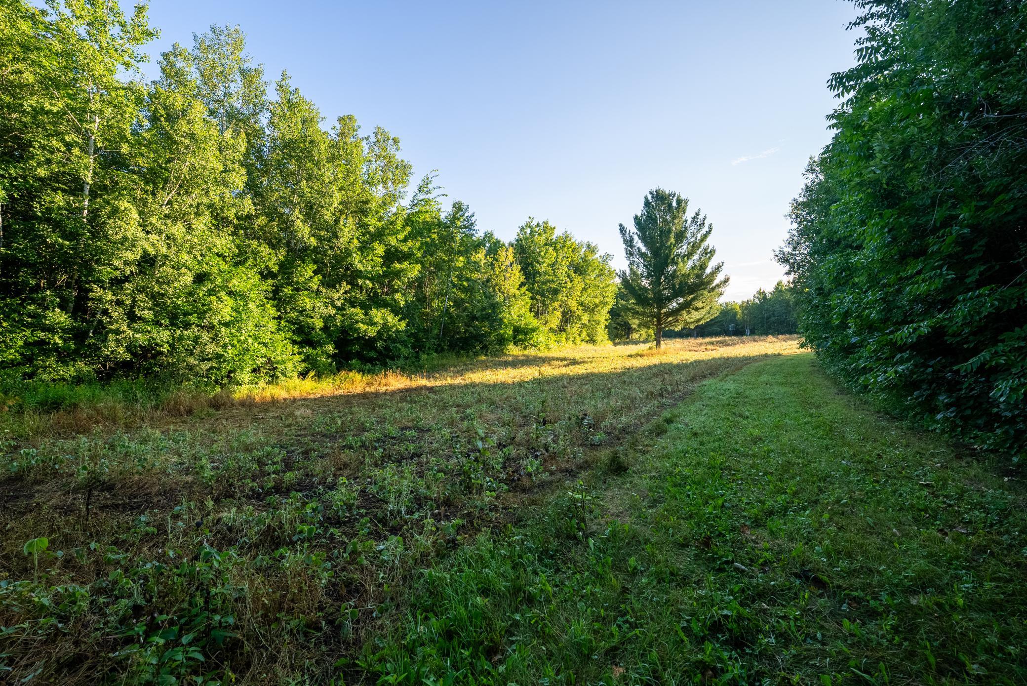 Cass MN 1095 Featured ProPhoto-25.jpg