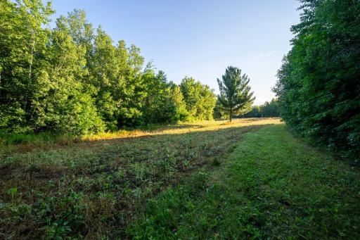 Cass MN 1095 Featured ProPhoto-25.jpg