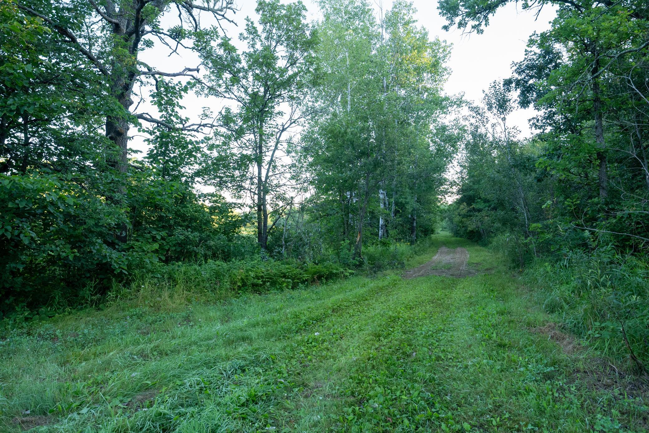 Cass MN 1095 Featured ProPhoto-19.jpg