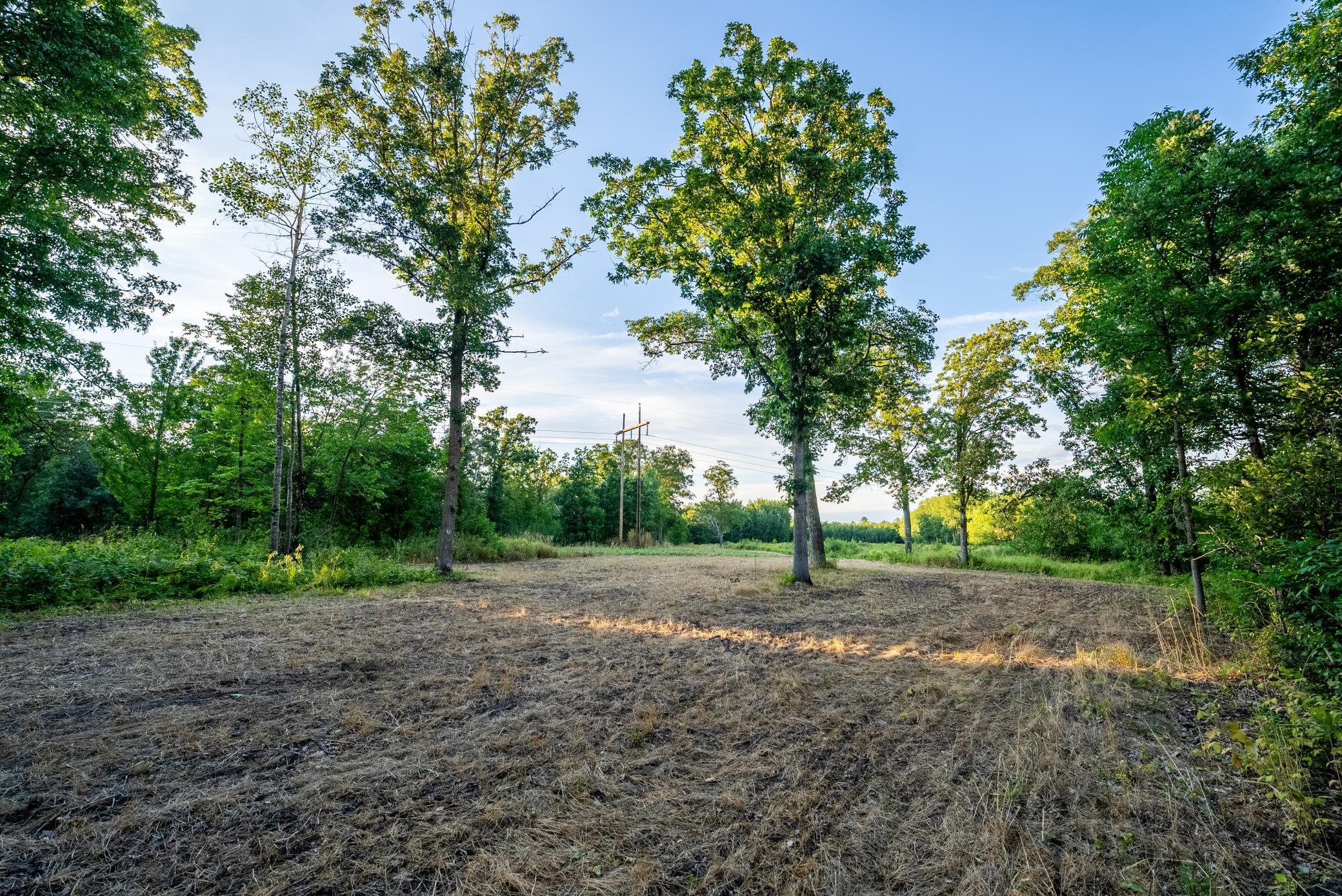 Cass MN 1095 Featured ProPhoto-17.jpg