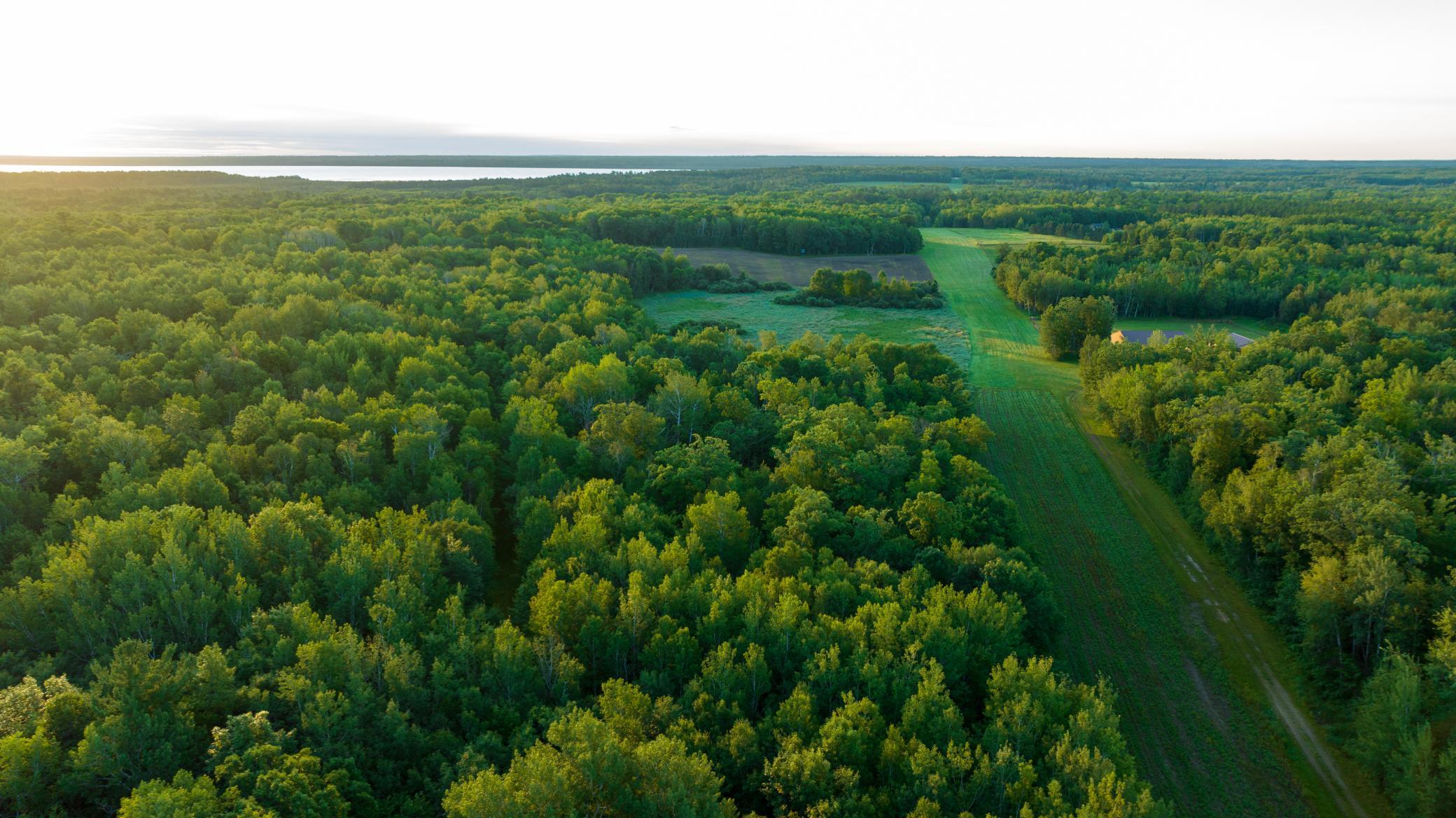 Cass MN 1095 Featured ProPhoto-59.jpg