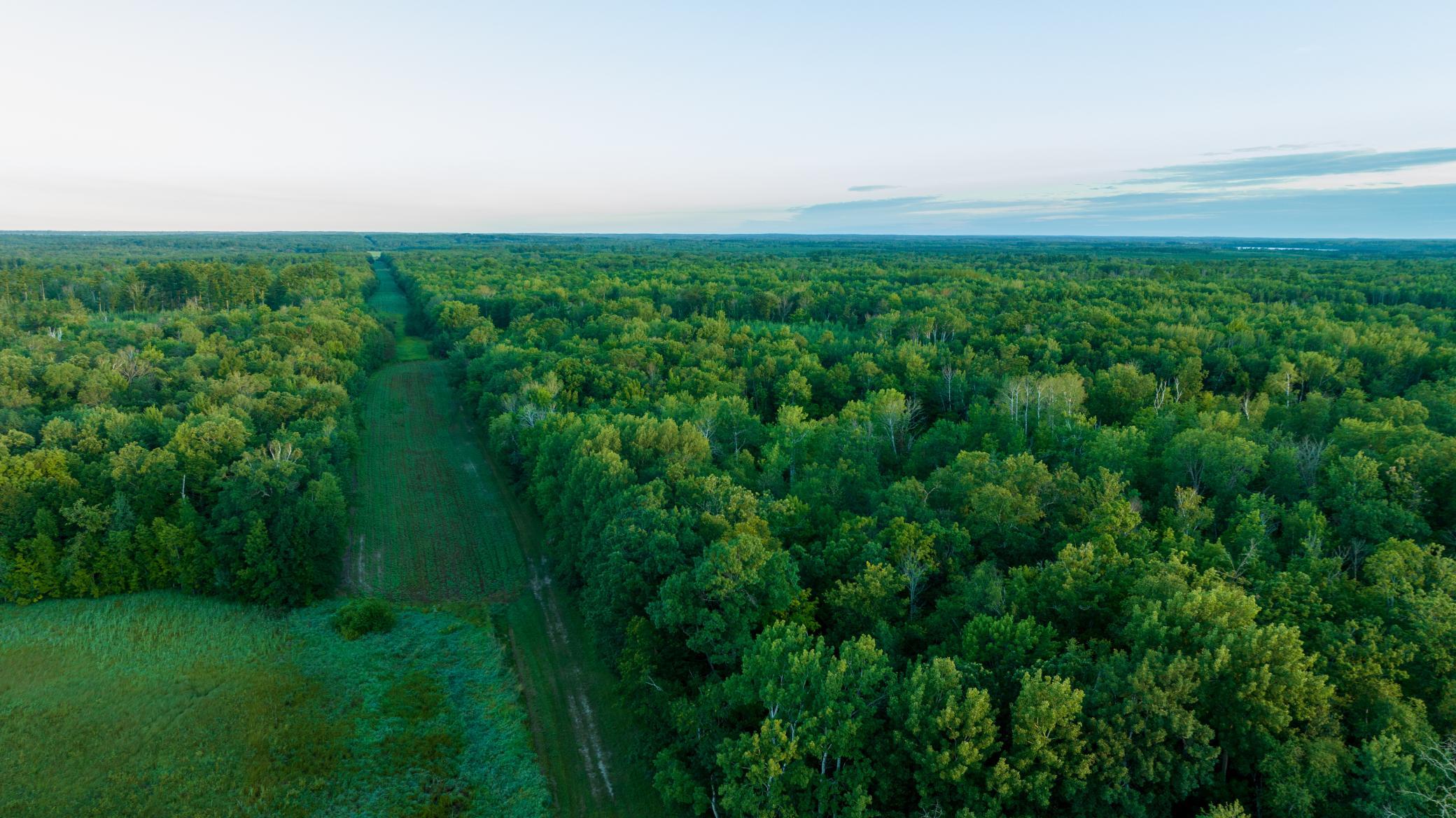 Cass MN 1095 Featured ProPhoto-58.jpg