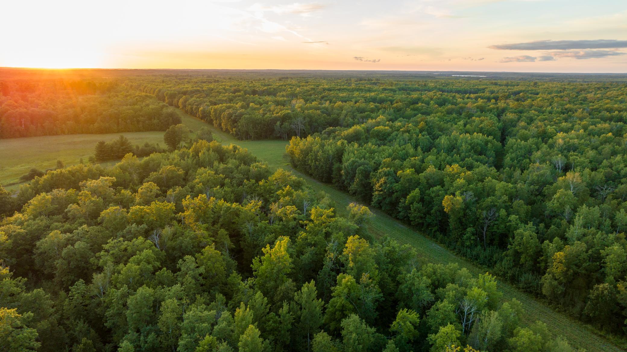 Cass MN 1095 Featured ProPhoto-47.jpg