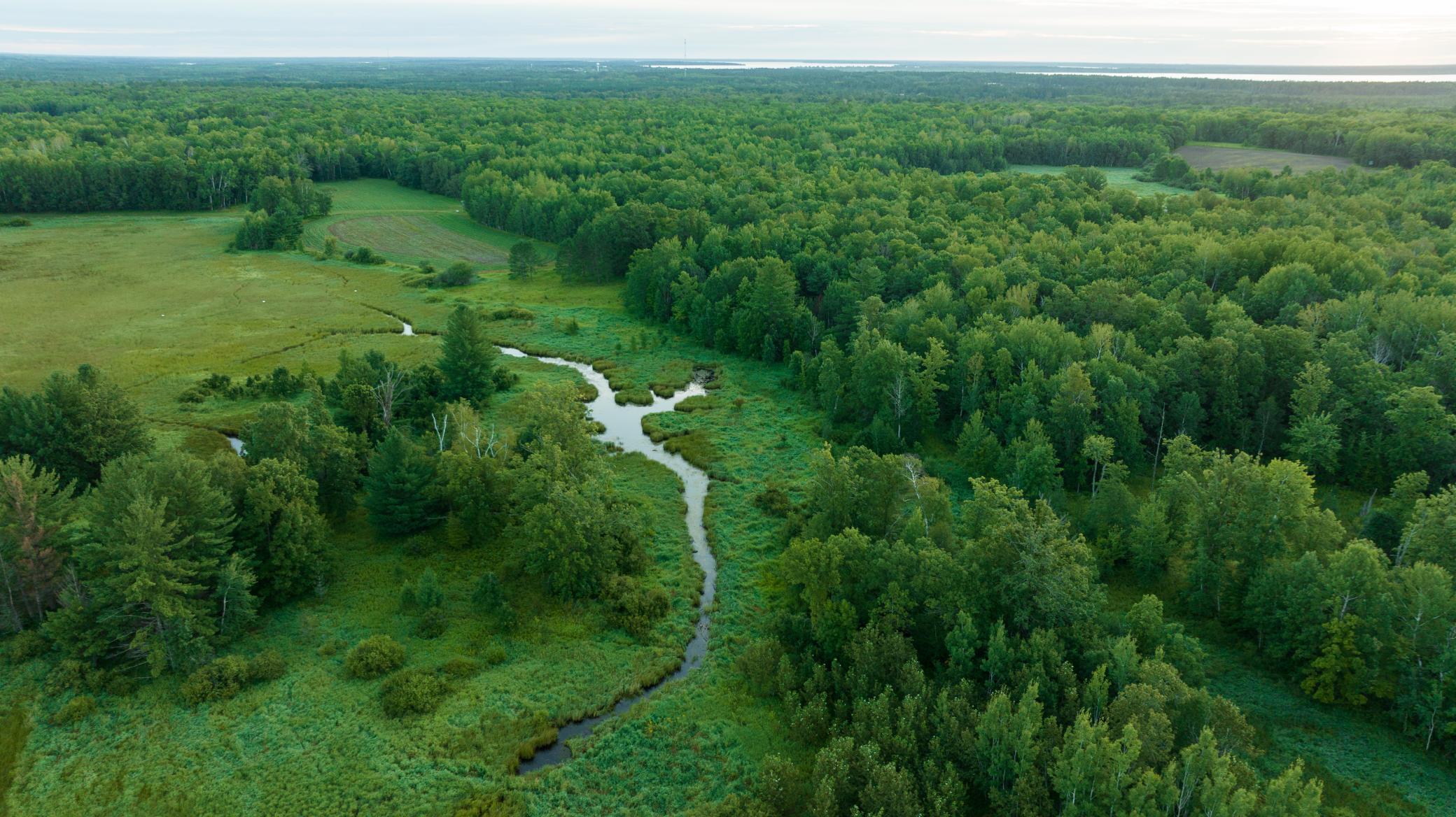 Cass MN 1095 Featured ProPhoto-56.jpg