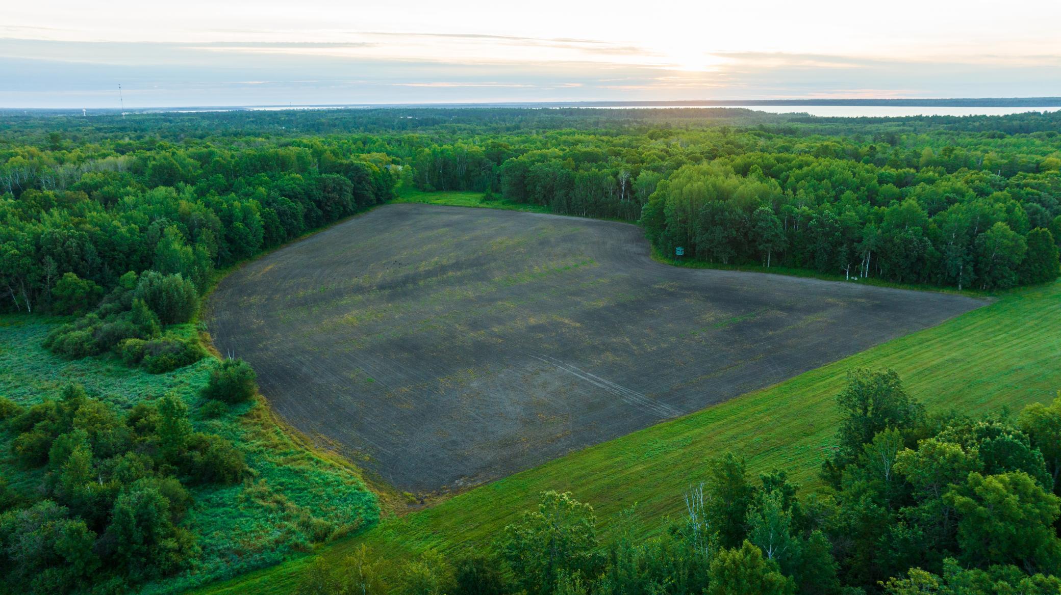 Cass MN 1095 Featured ProPhoto-52.jpg