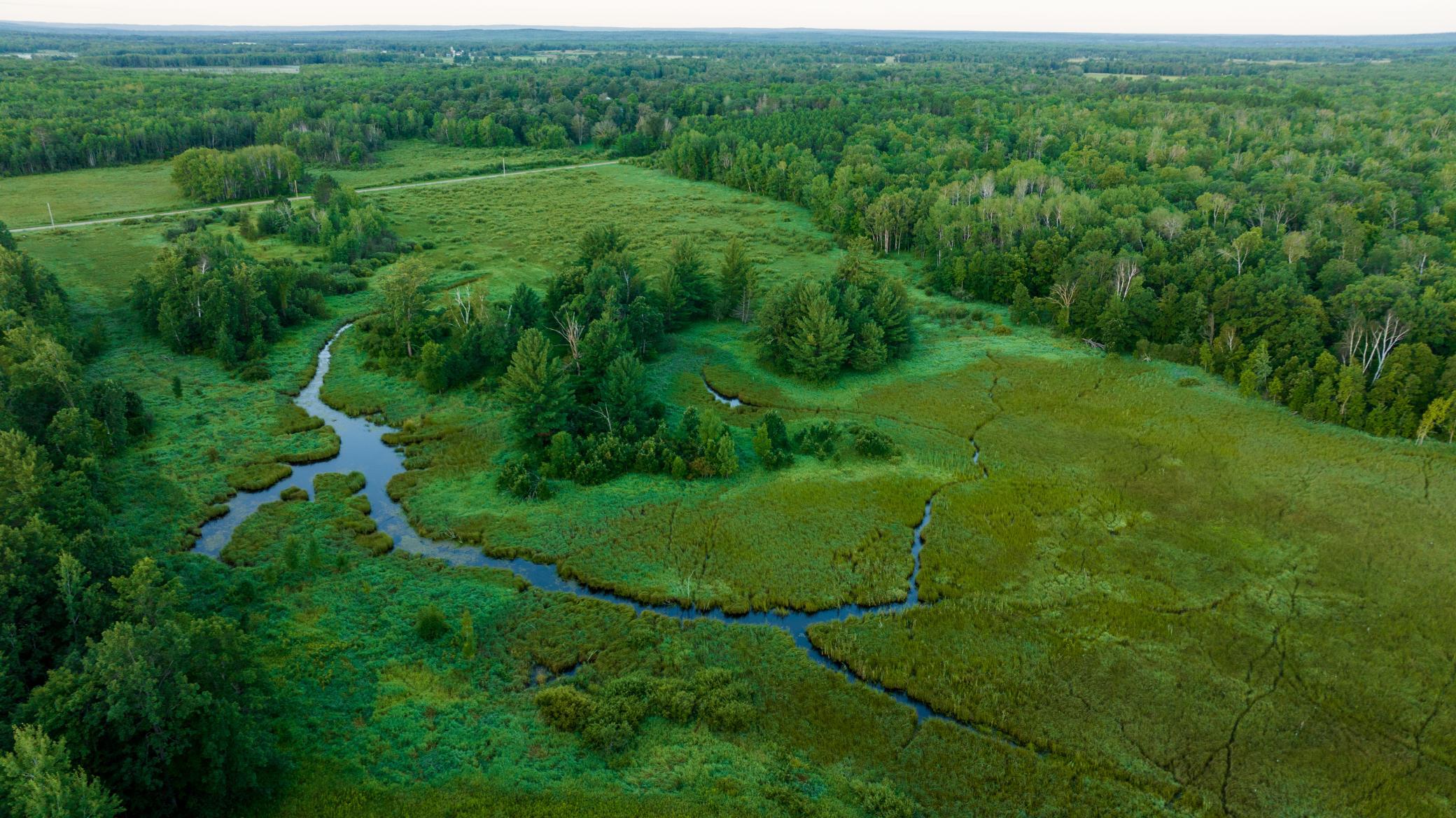 Cass MN 1095 Featured ProPhoto-55.jpg