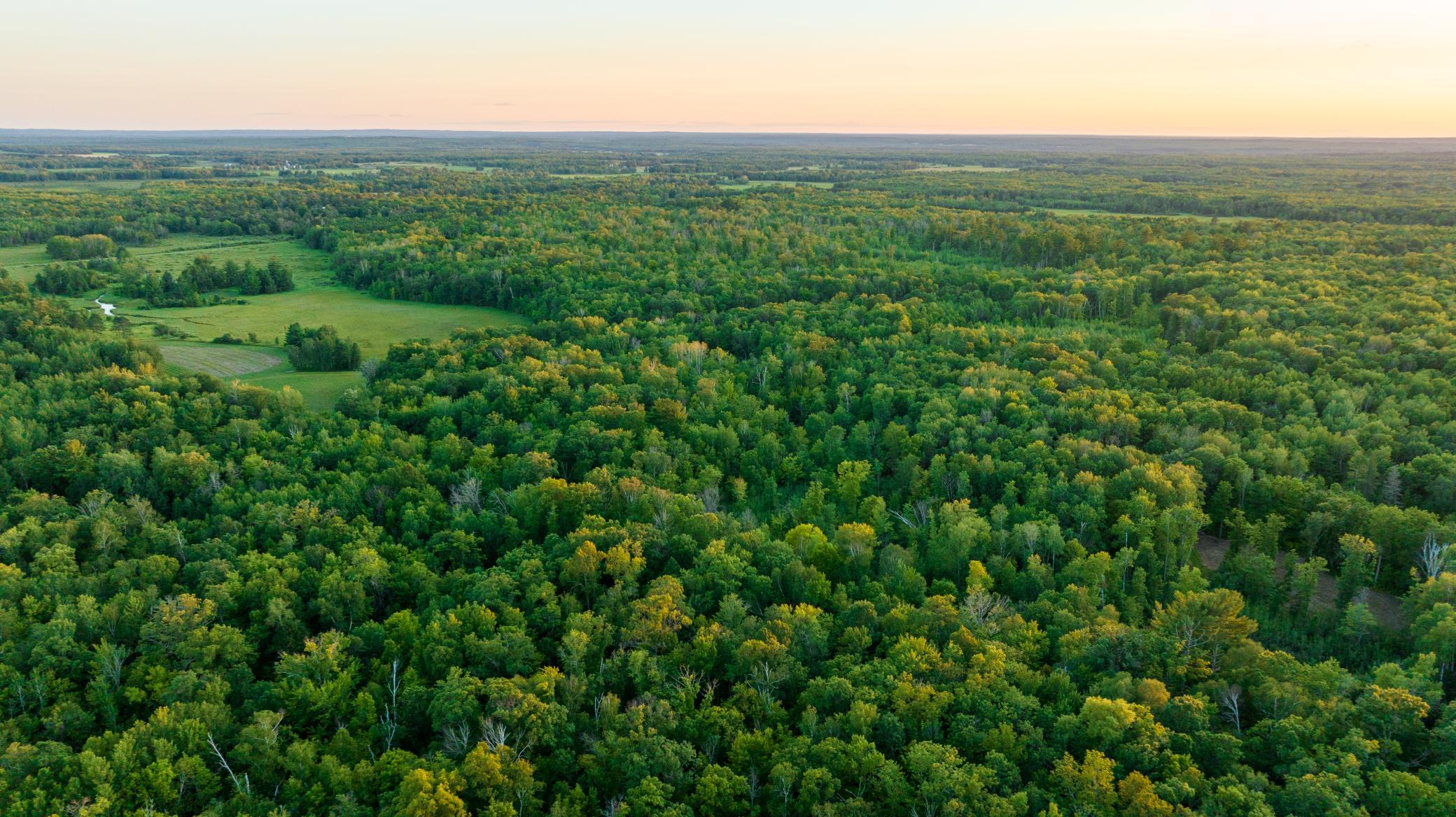 Cass MN 1095 Featured ProPhoto-51.jpg