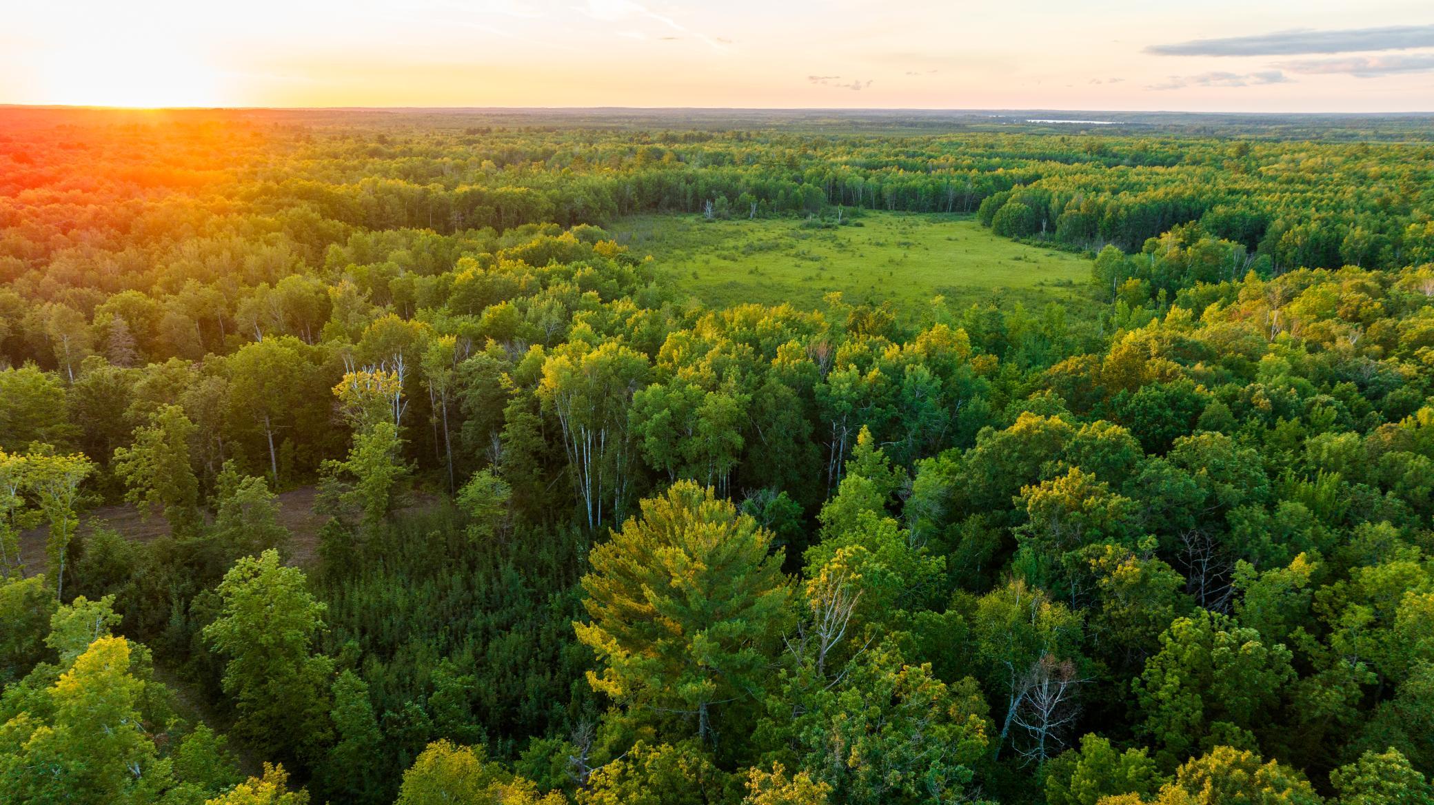 Cass MN 1095 Featured ProPhoto-50.jpg