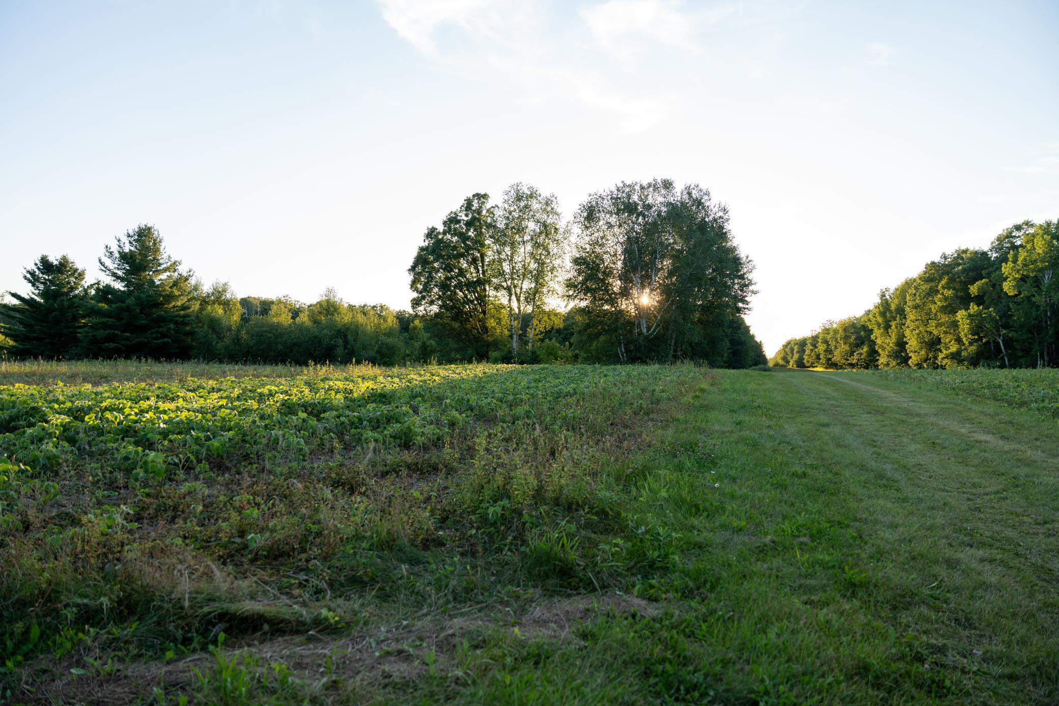 Cass MN 1095 Featured ProPhoto-43.jpg