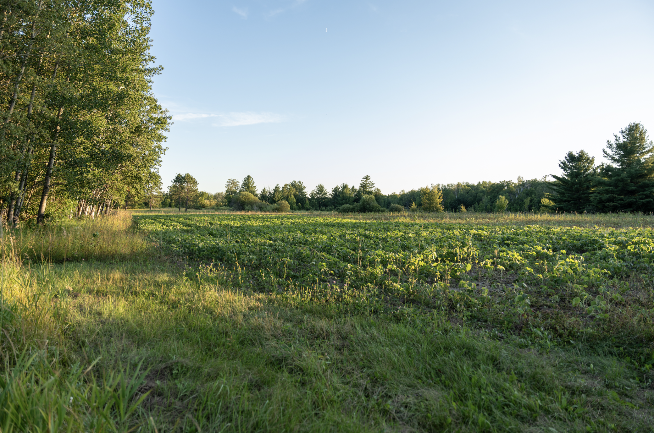 Cass MN 1095 Featured ProPhoto-42.jpg