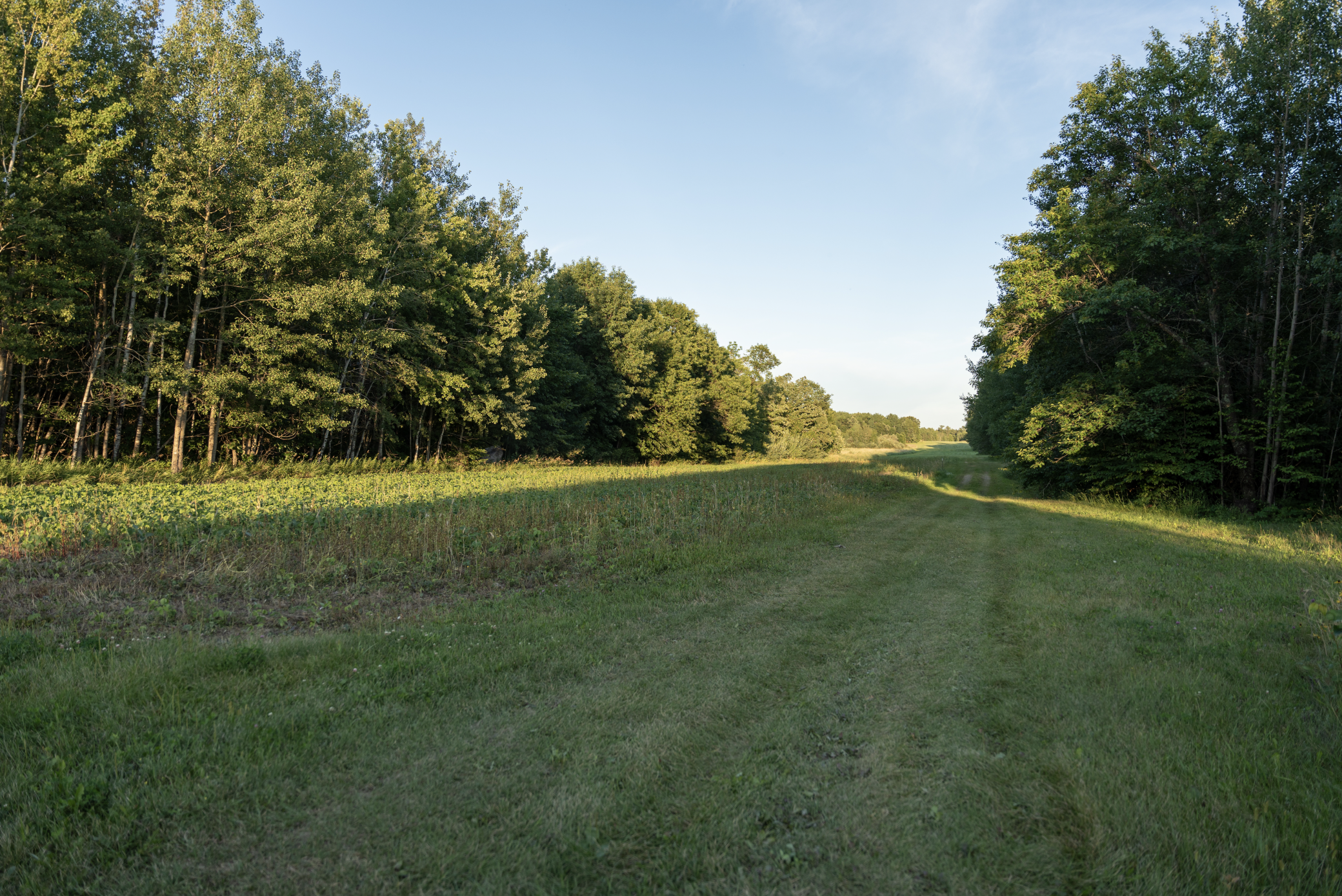 Cass MN 1095 Featured ProPhoto-45.jpg