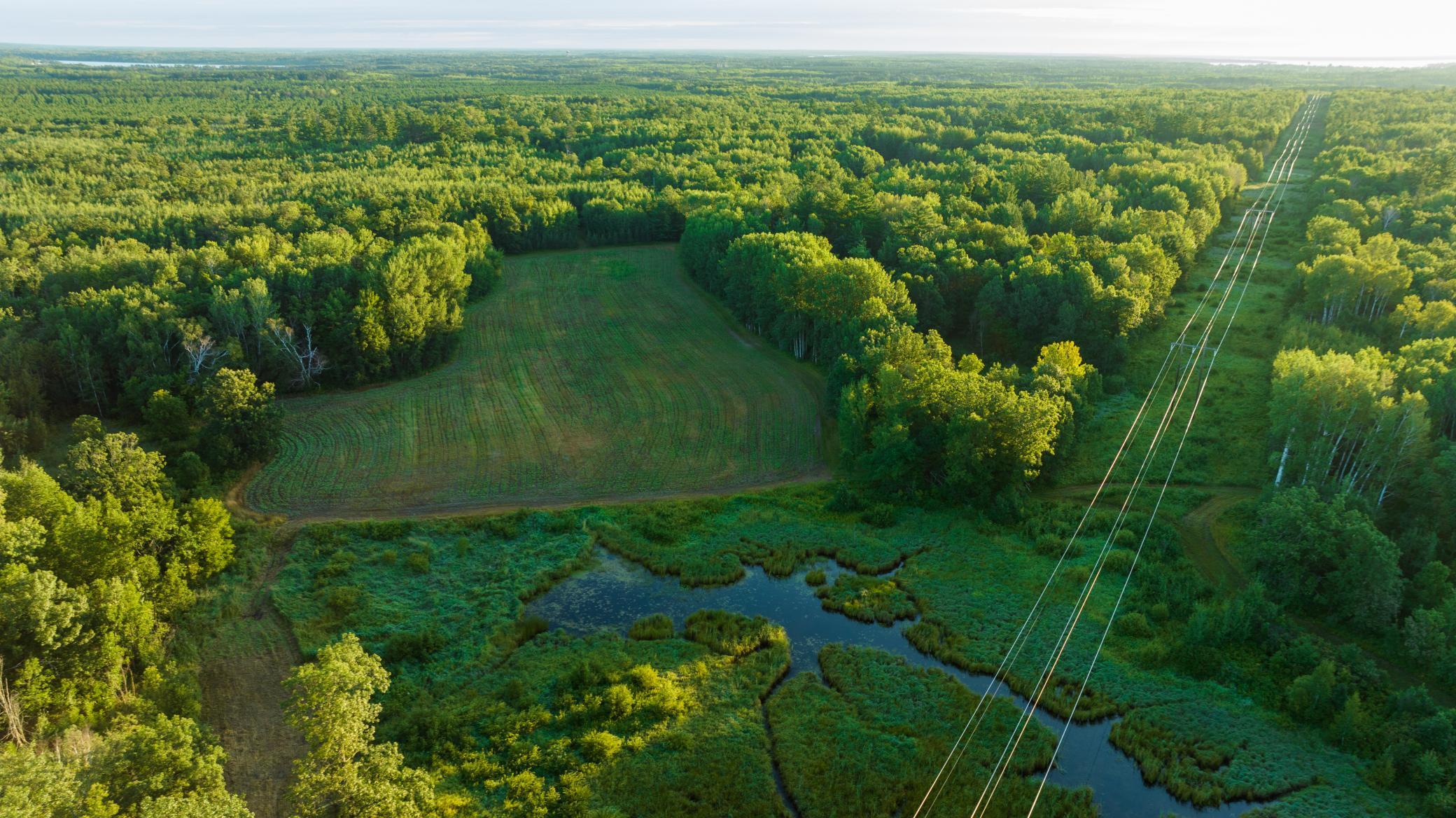 Cass MN 1095 Featured ProPhoto-68.jpg