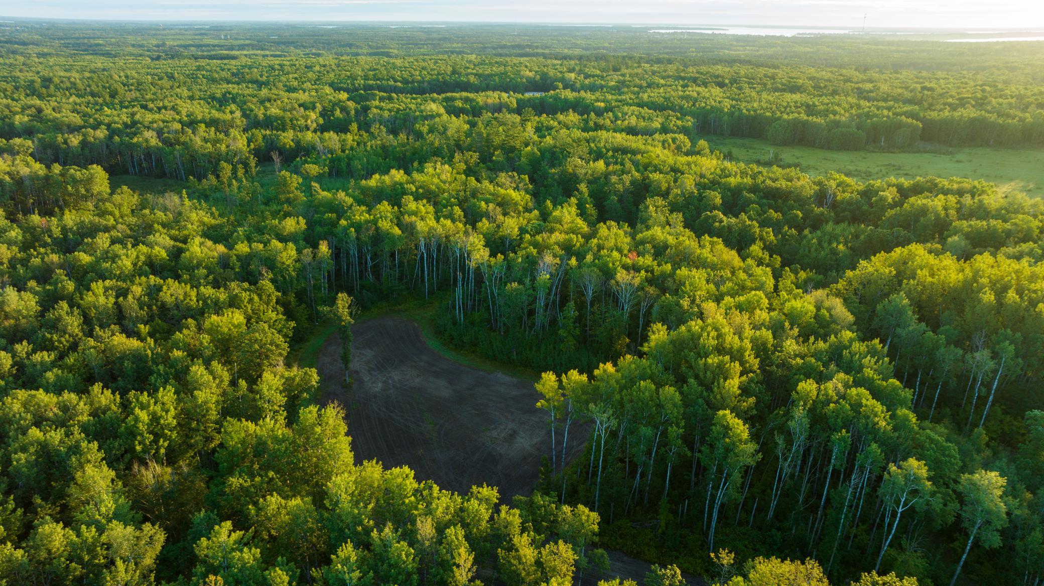 Cass MN 1095 Featured ProPhoto-63.jpg