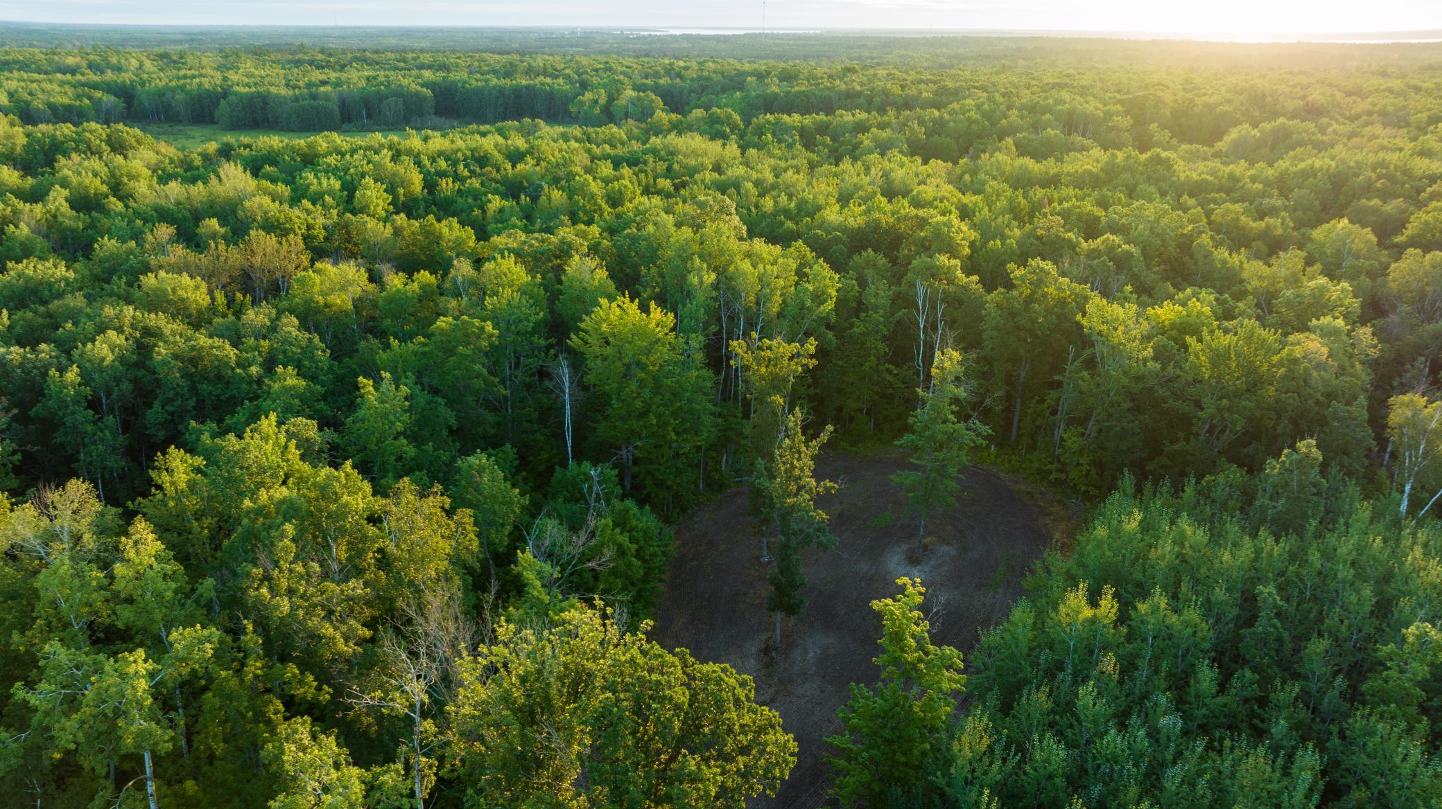 Cass MN 1095 Featured ProPhoto-61.jpg