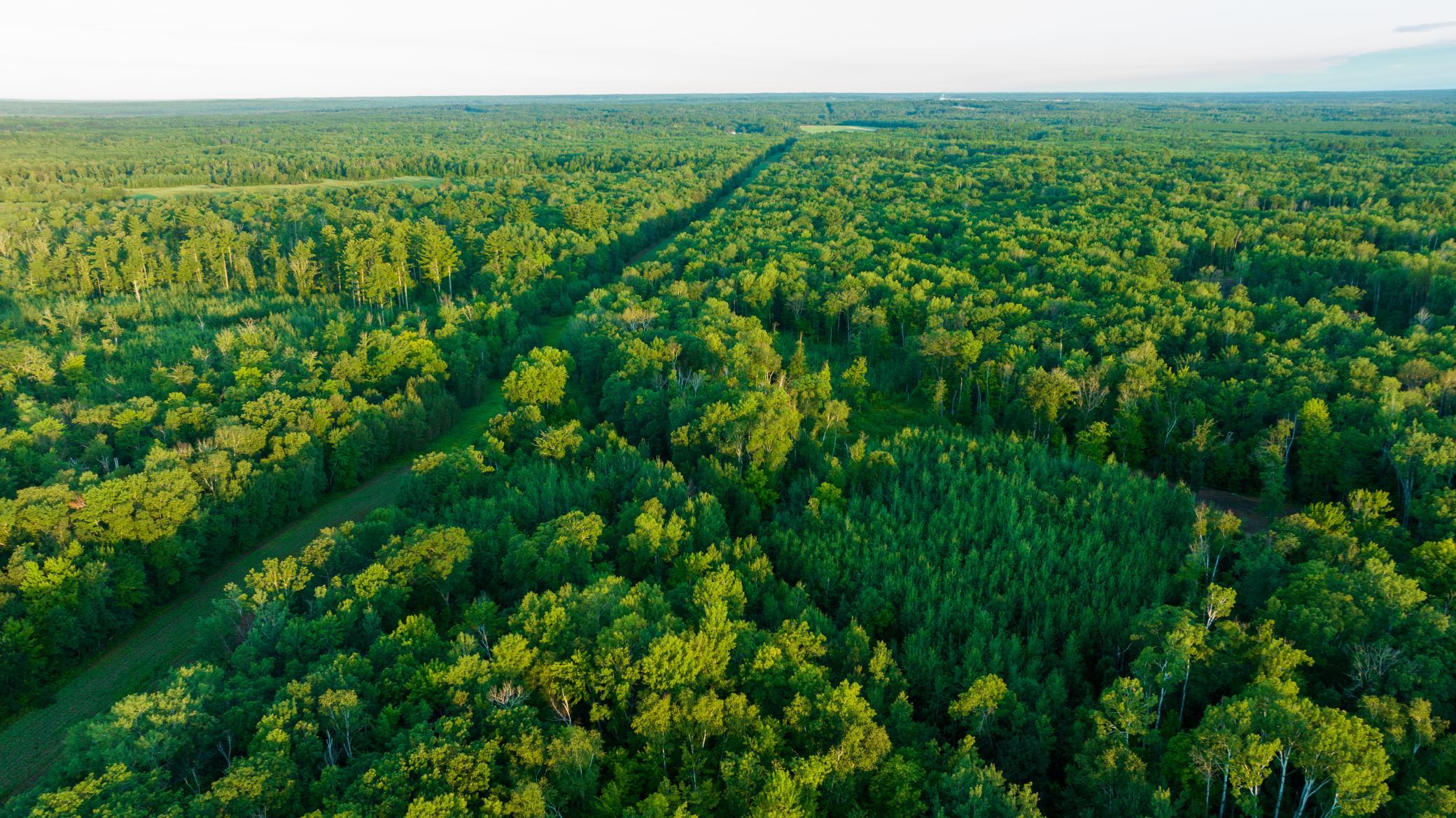 Cass MN 1095 Featured ProPhoto-60.jpg