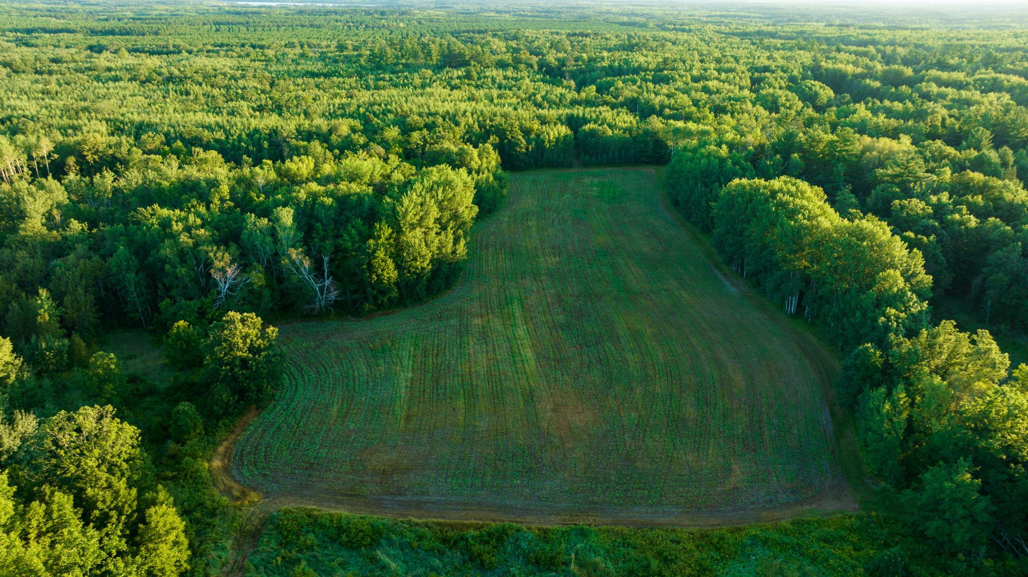 Cass MN 1095 Featured ProPhoto-69.jpg