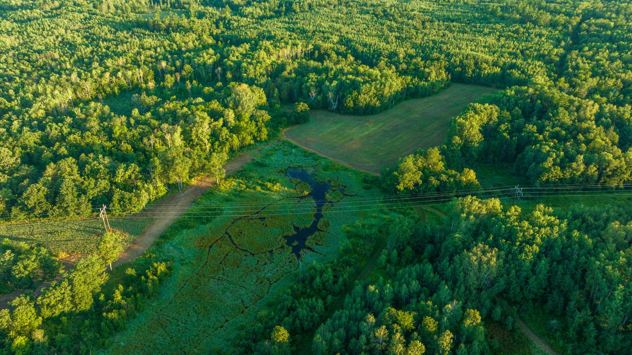 Cass MN 1095 Featured ProPhoto-66.jpg