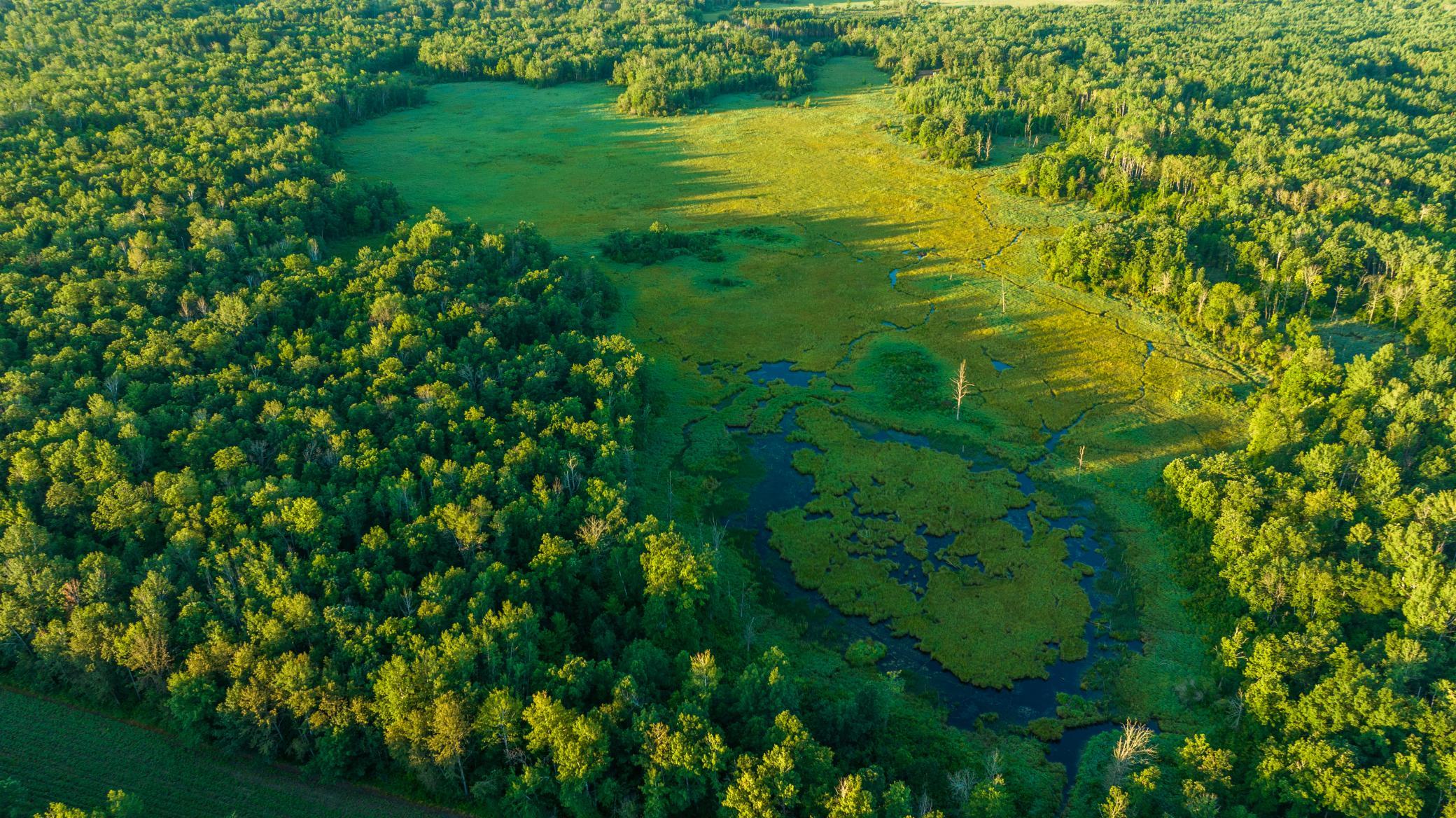 Cass MN 1095 Featured ProPhoto-67.jpg