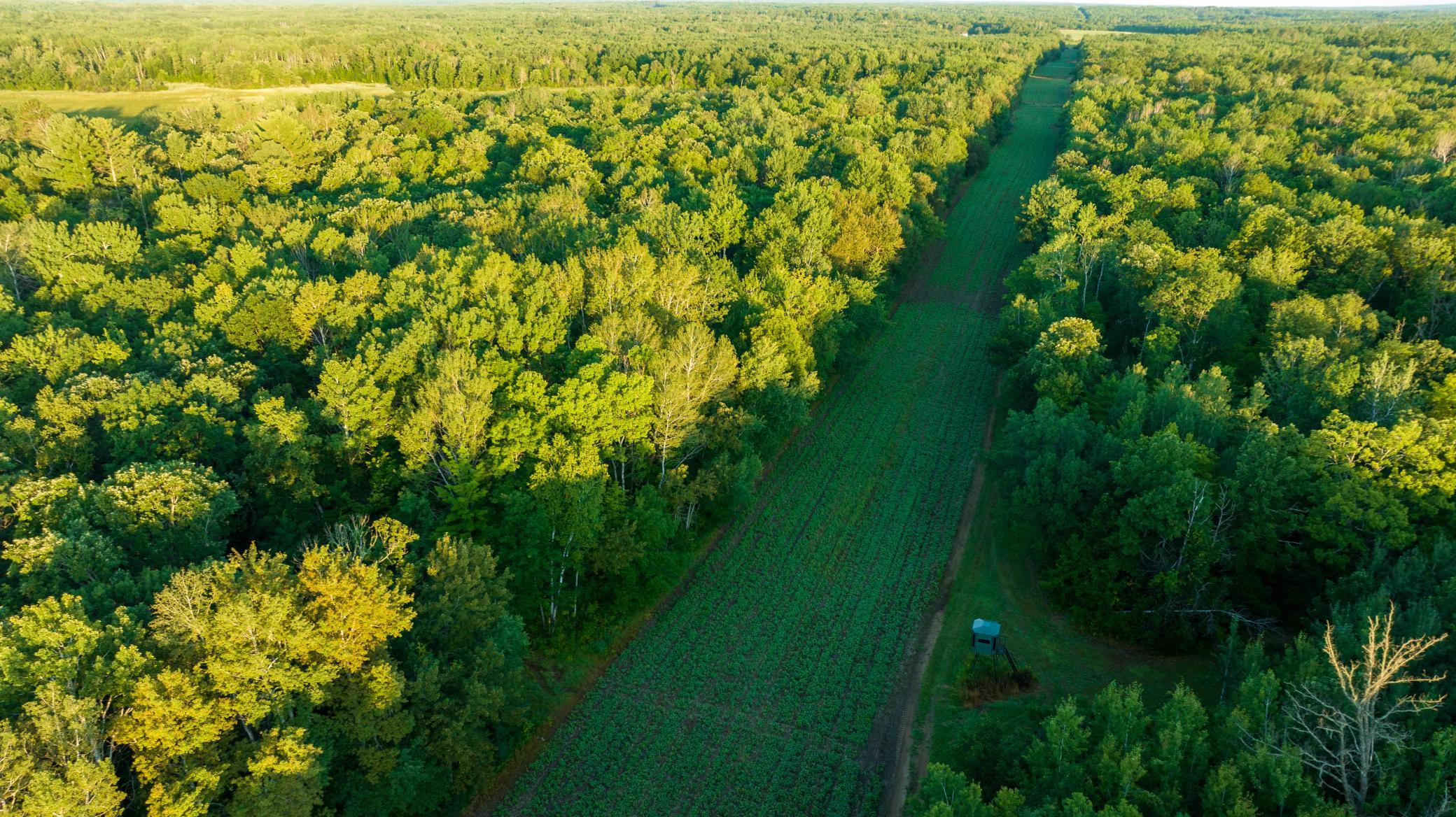 Cass MN 1095 Featured ProPhoto-65.jpg