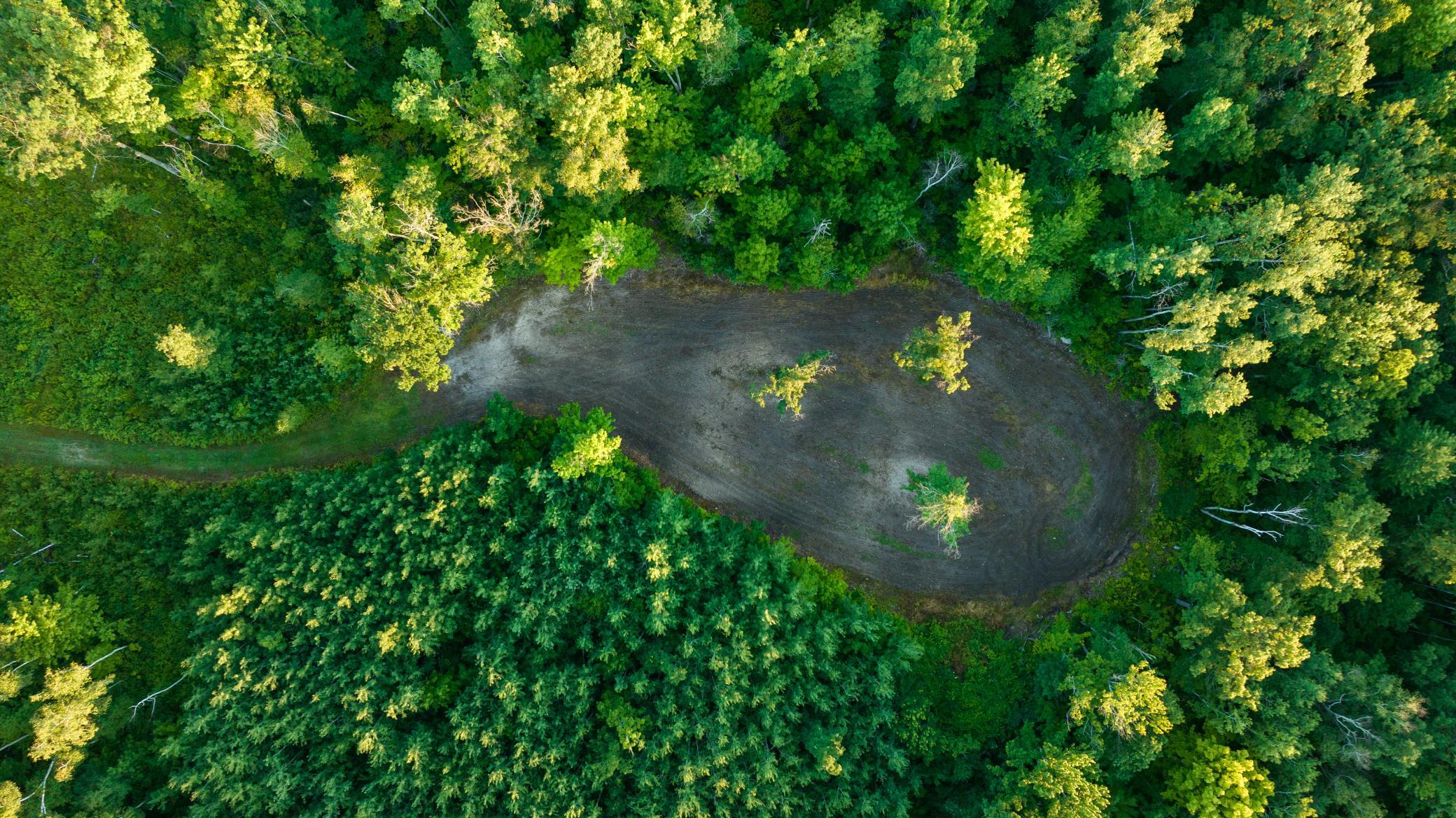 Cass MN 1095 Featured ProPhoto-62.jpg