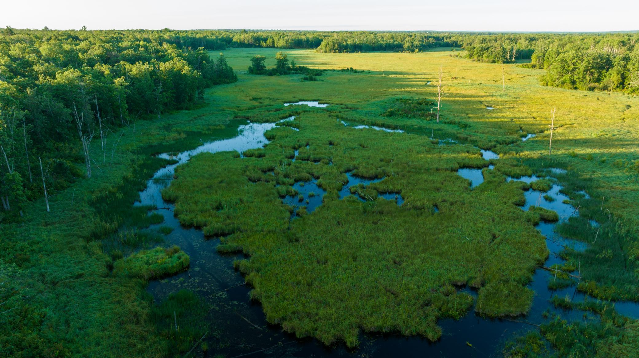 Cass MN 1095 Featured ProPhoto-71.jpg