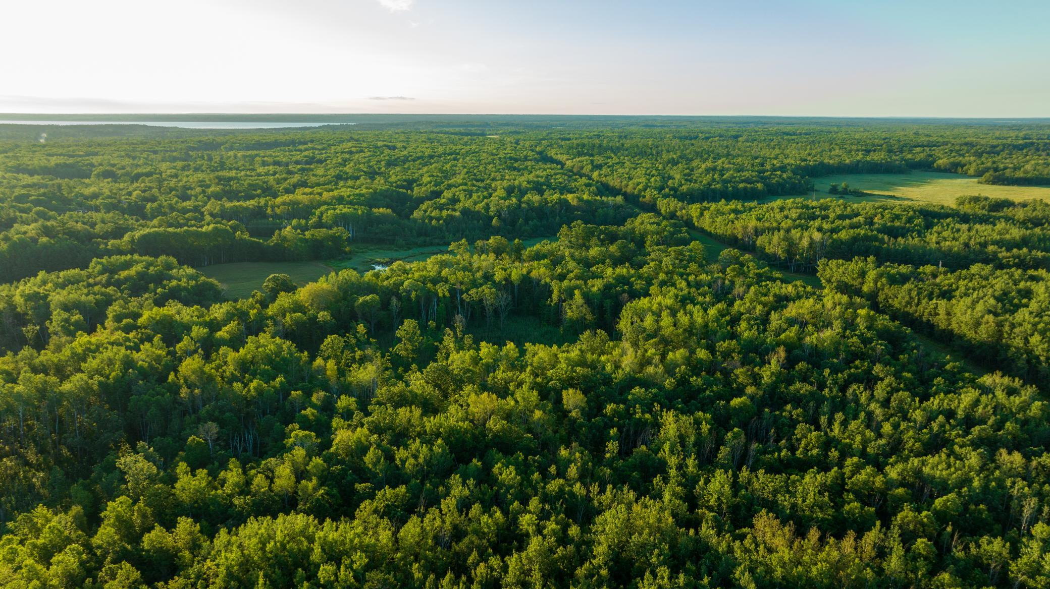 Cass MN 1095 Featured ProPhoto-78.jpg