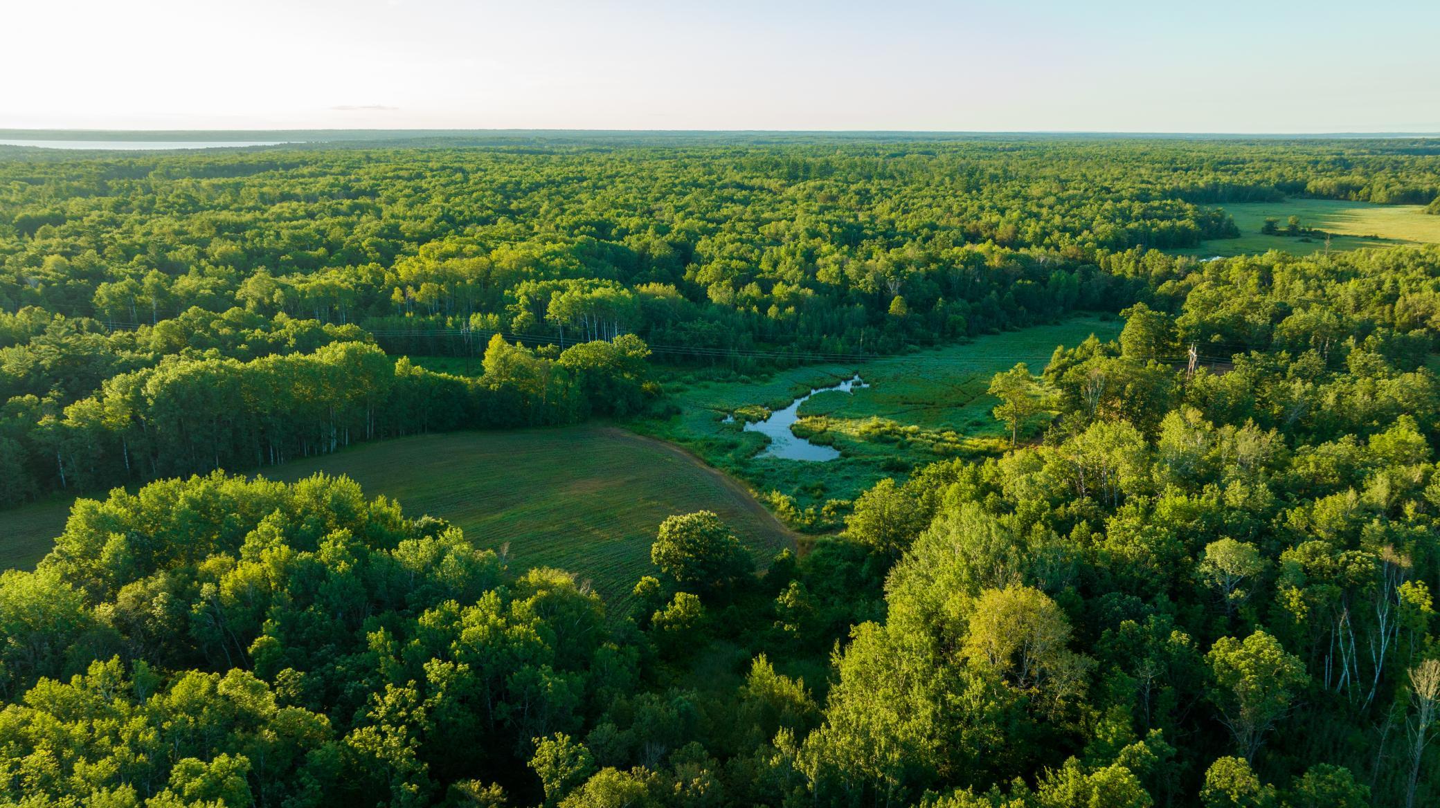 Cass MN 1095 Featured ProPhoto-79.jpg