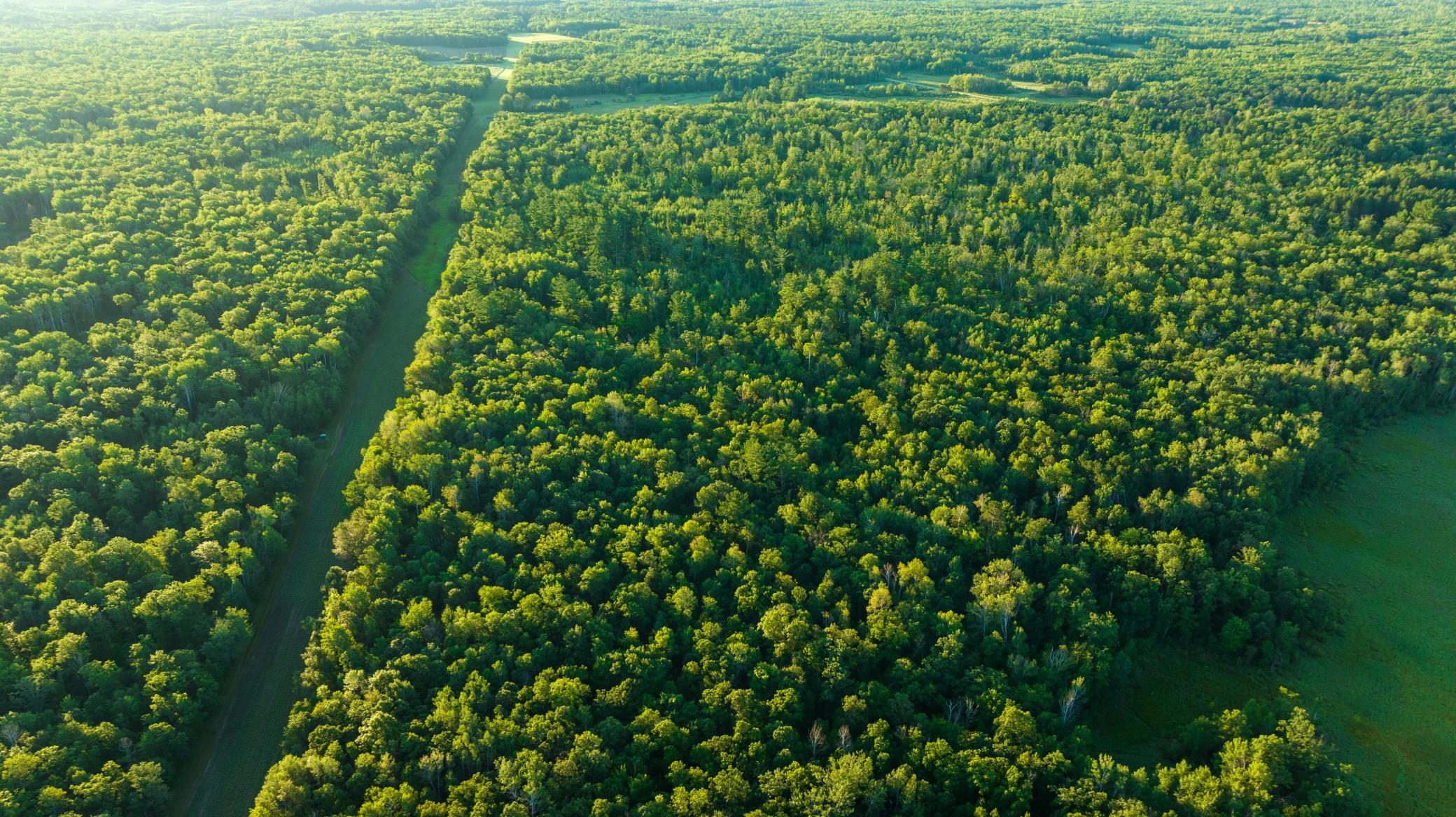 Cass MN 1095 Featured ProPhoto-74.jpg