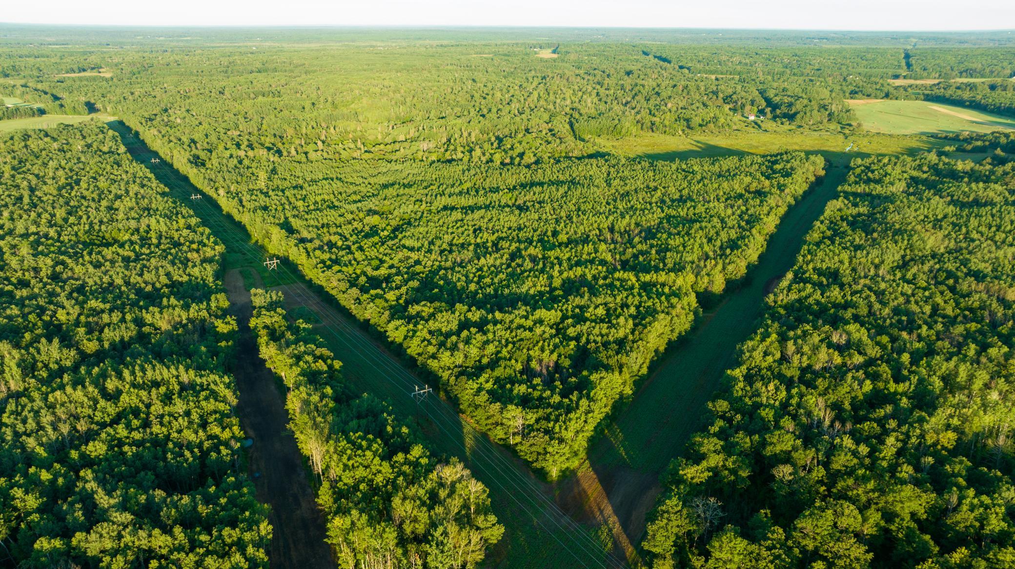 Cass MN 1095 Featured ProPhoto-75.jpg