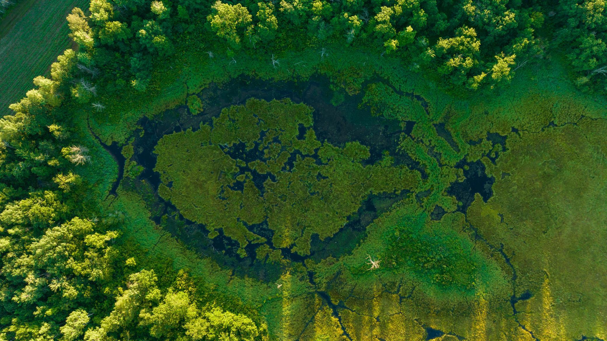 Cass MN 1095 Featured ProPhoto-72.jpg