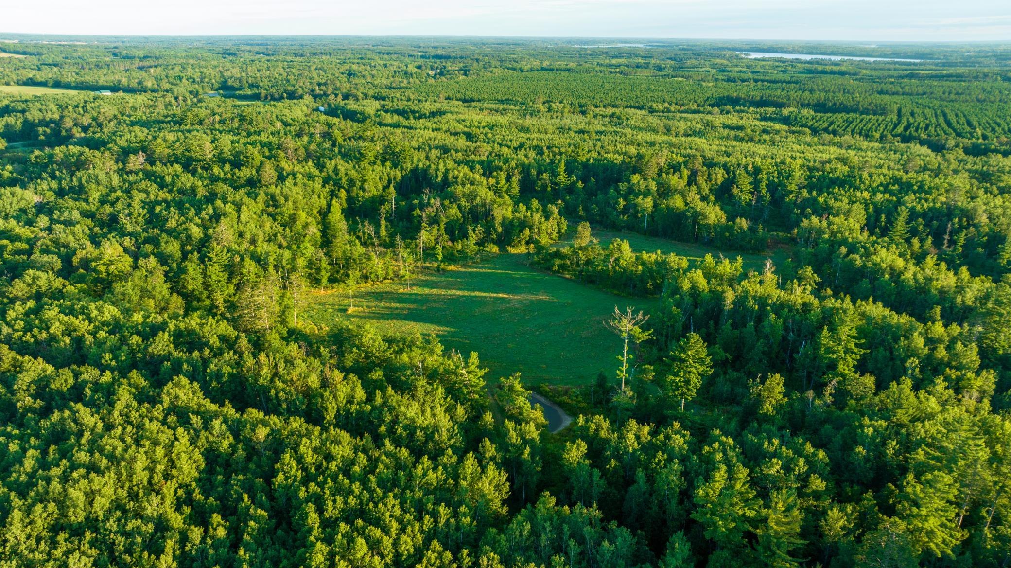 Cass MN 1095 Featured ProPhoto-77.jpg