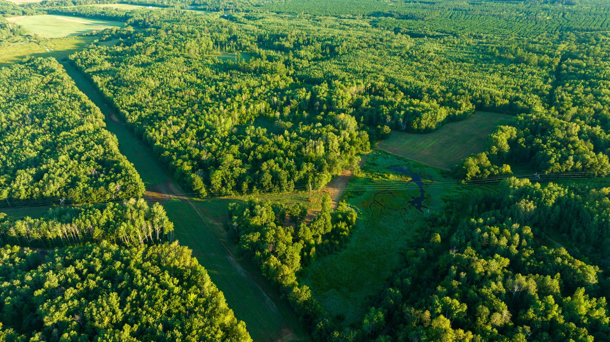 Cass MN 1095 Featured ProPhoto-73.jpg