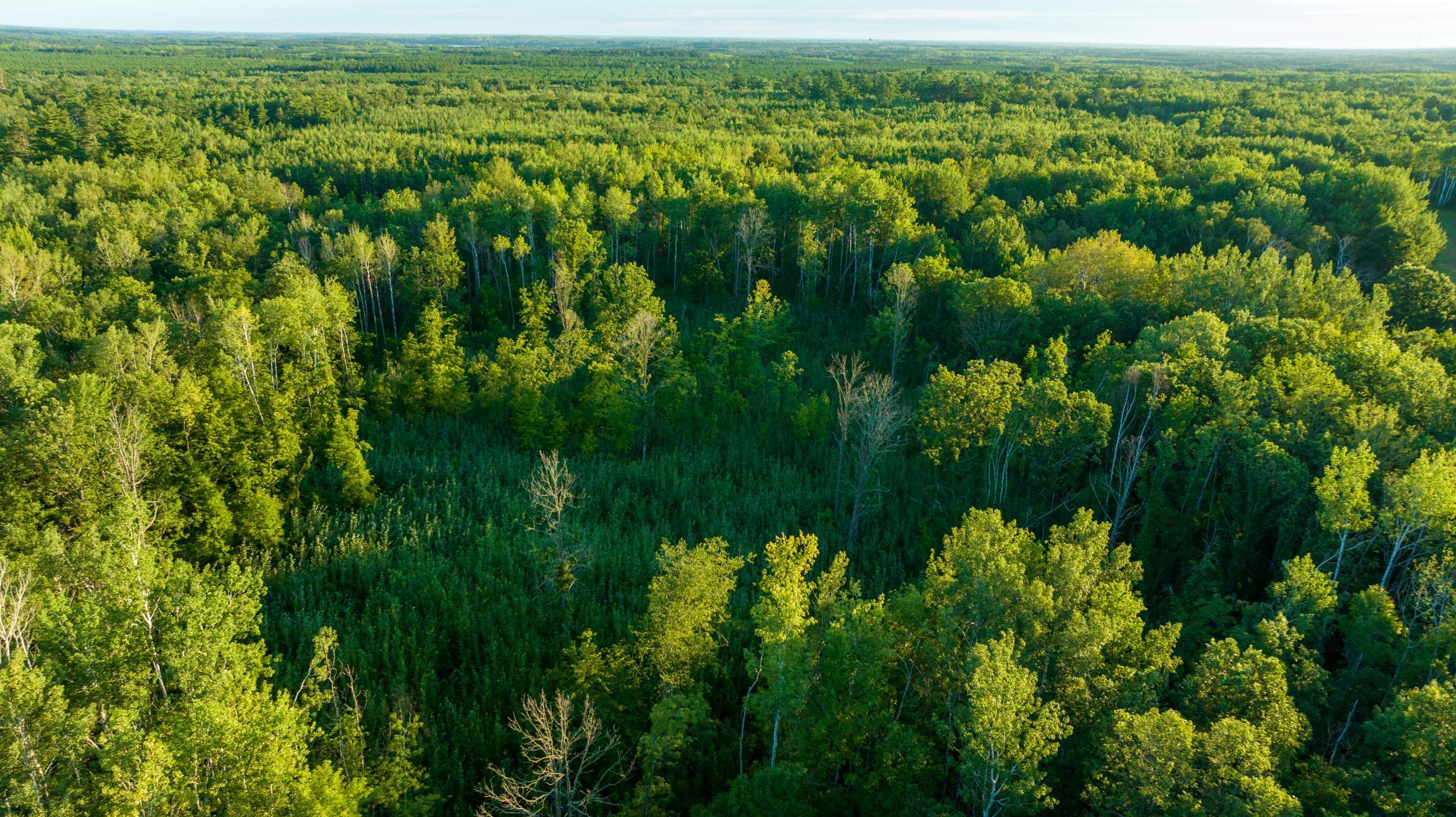 Cass MN 1095 Featured ProPhoto-76.jpg