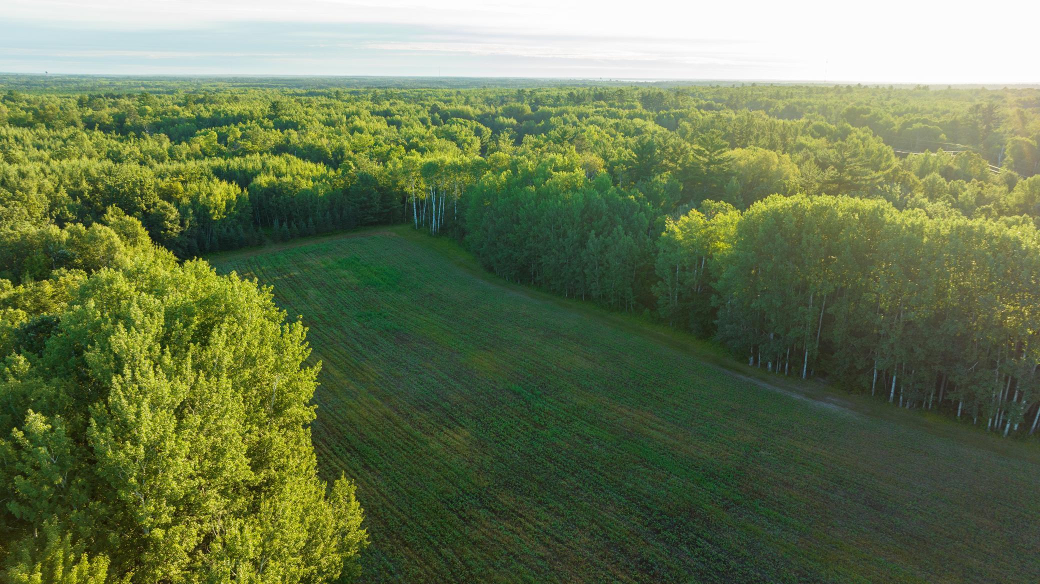 Cass MN 1095 Featured ProPhoto-80.jpg