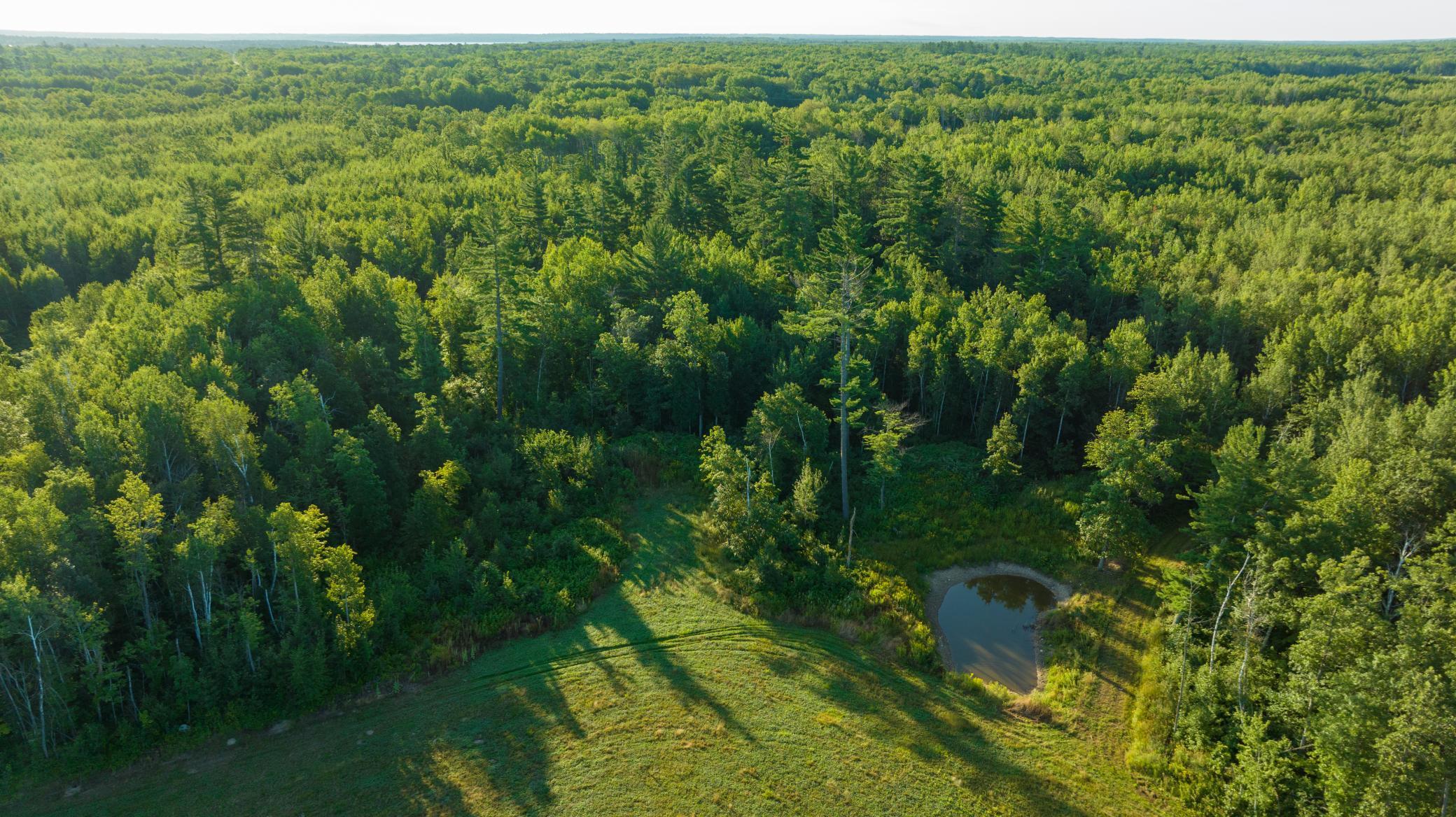 Cass MN 1095 Featured ProPhoto-86.jpg