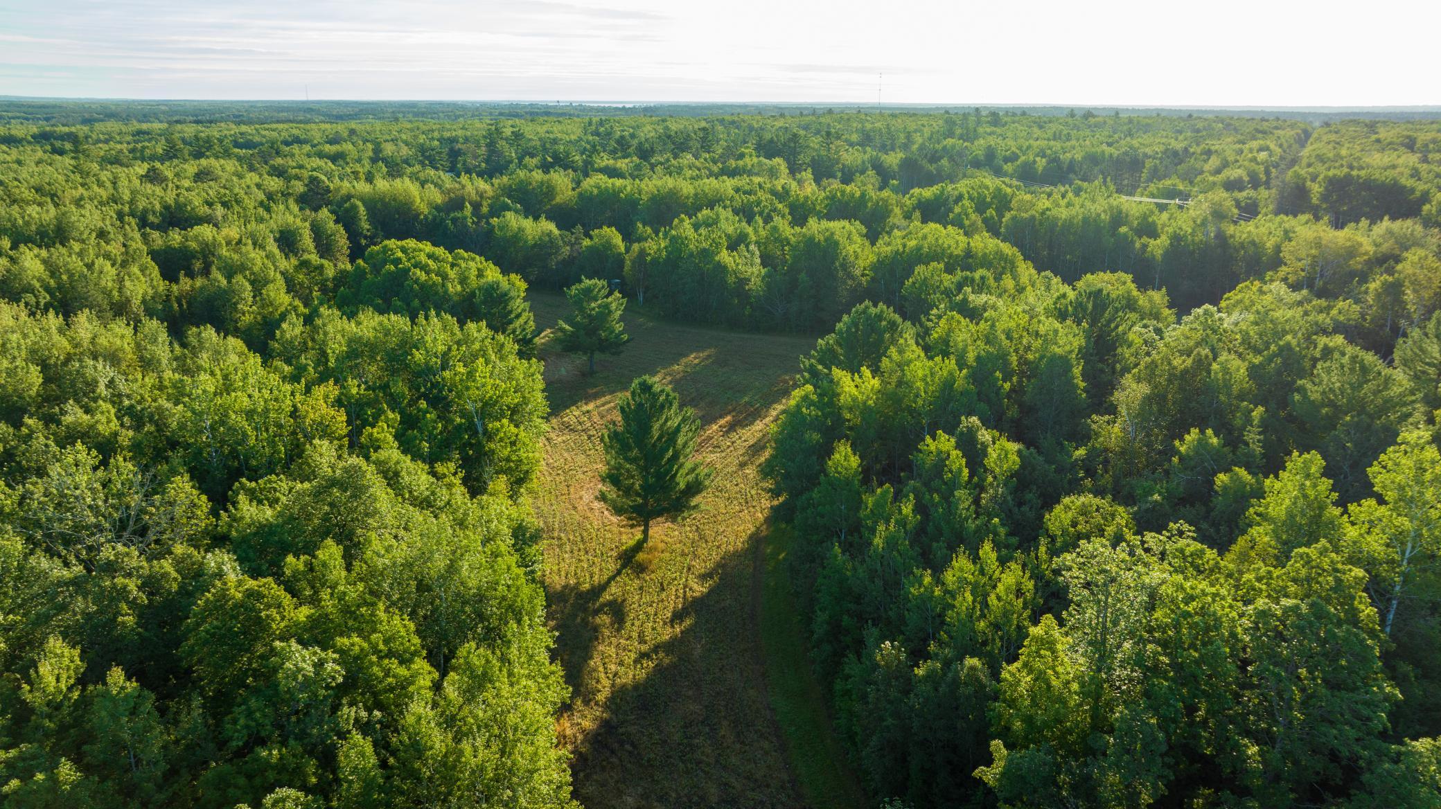 Cass MN 1095 Featured ProPhoto-83.jpg