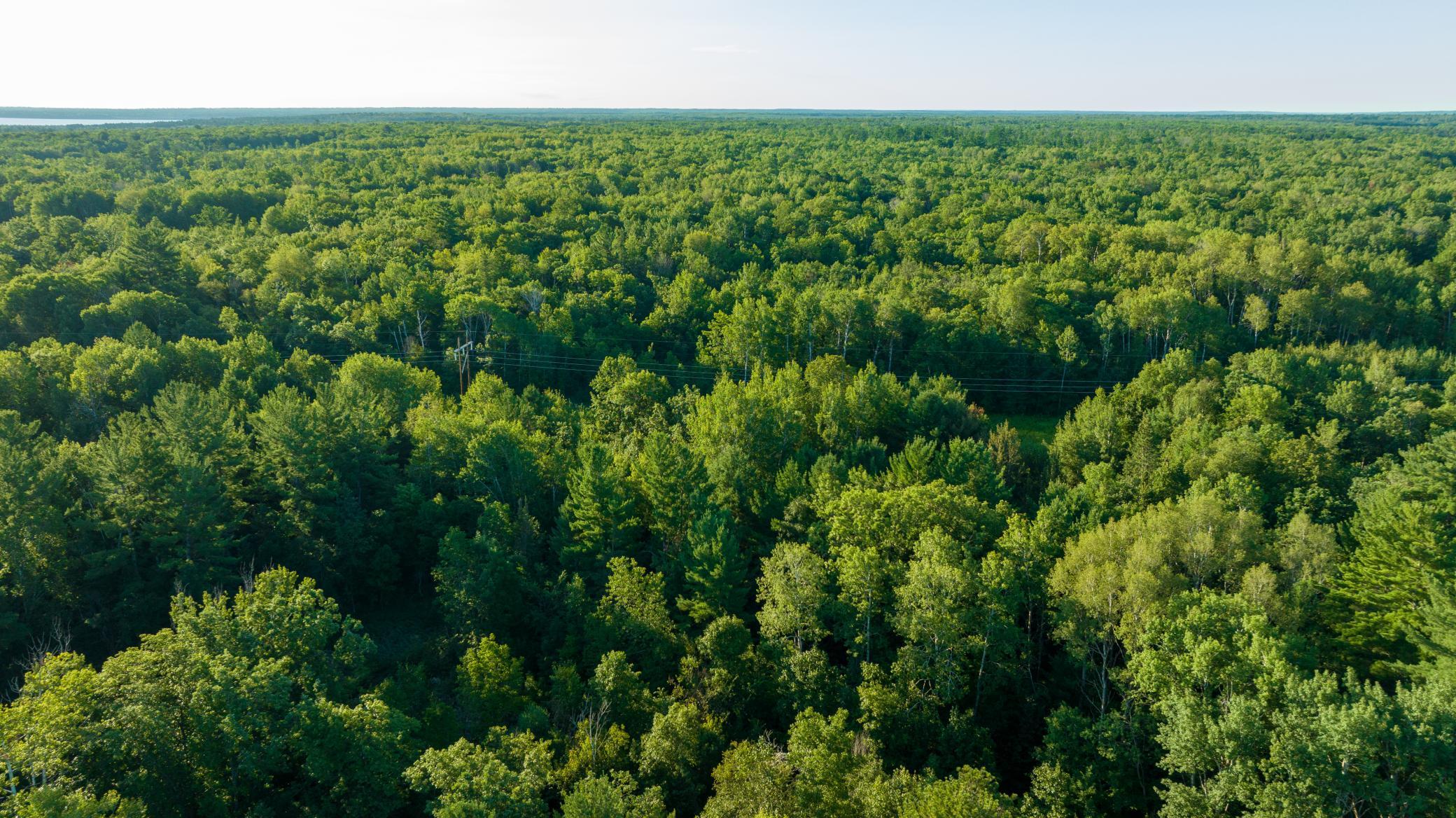 Cass MN 1095 Featured ProPhoto-84.jpg