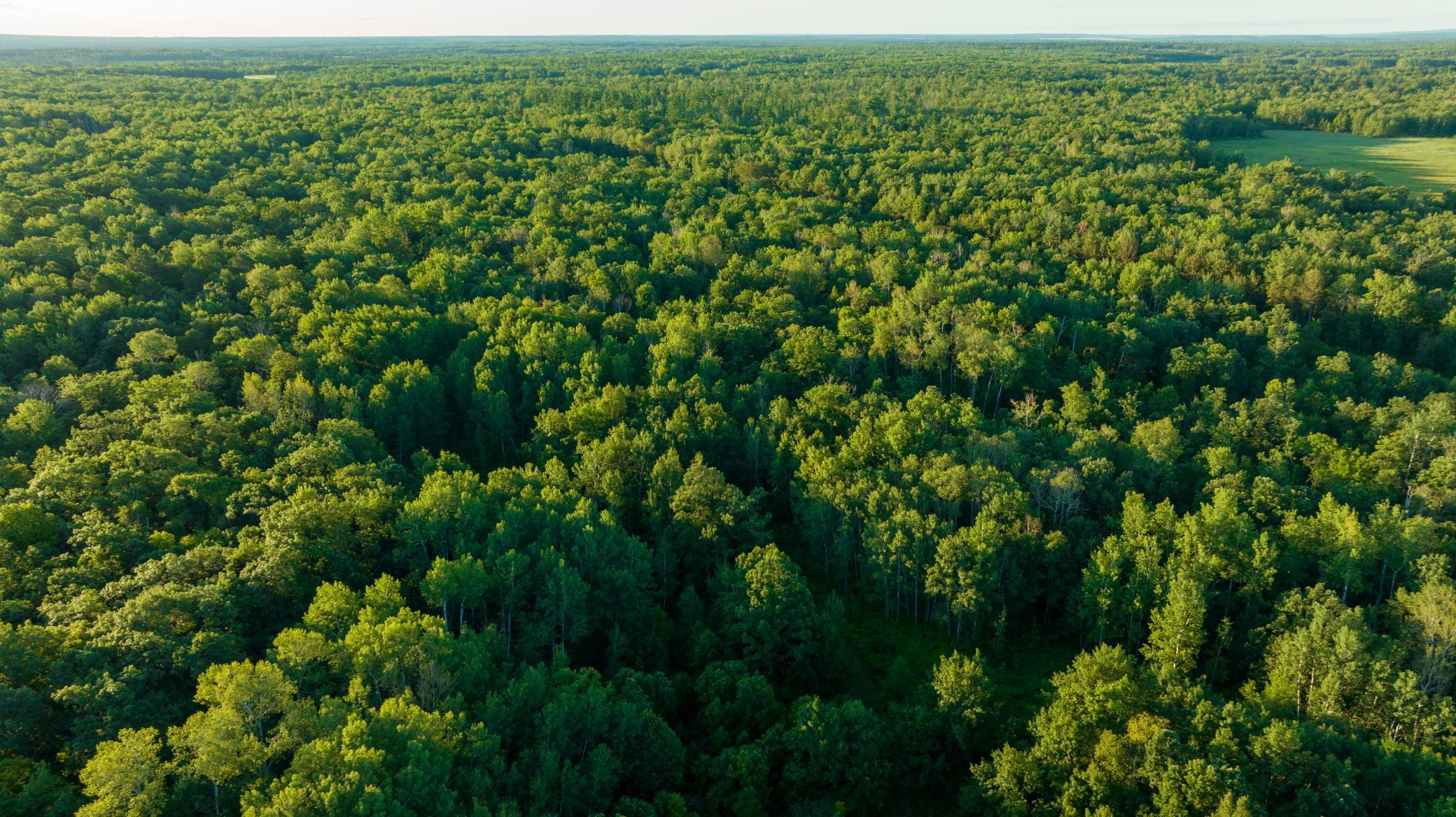 Cass MN 1095 Featured ProPhoto-81.jpg