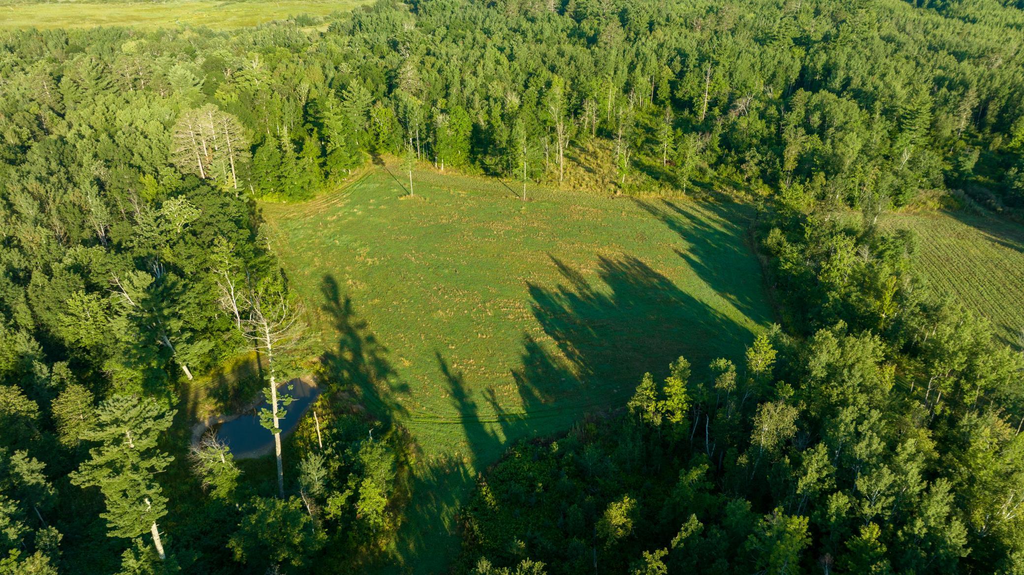 Cass MN 1095 Featured ProPhoto-85.jpg