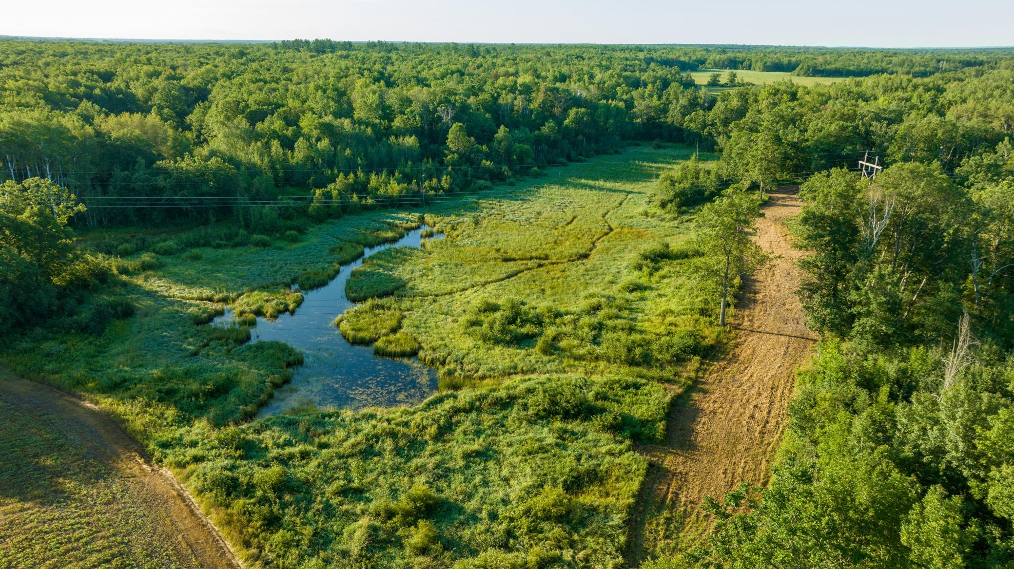 Cass MN 1095 Featured ProPhoto-88.jpg